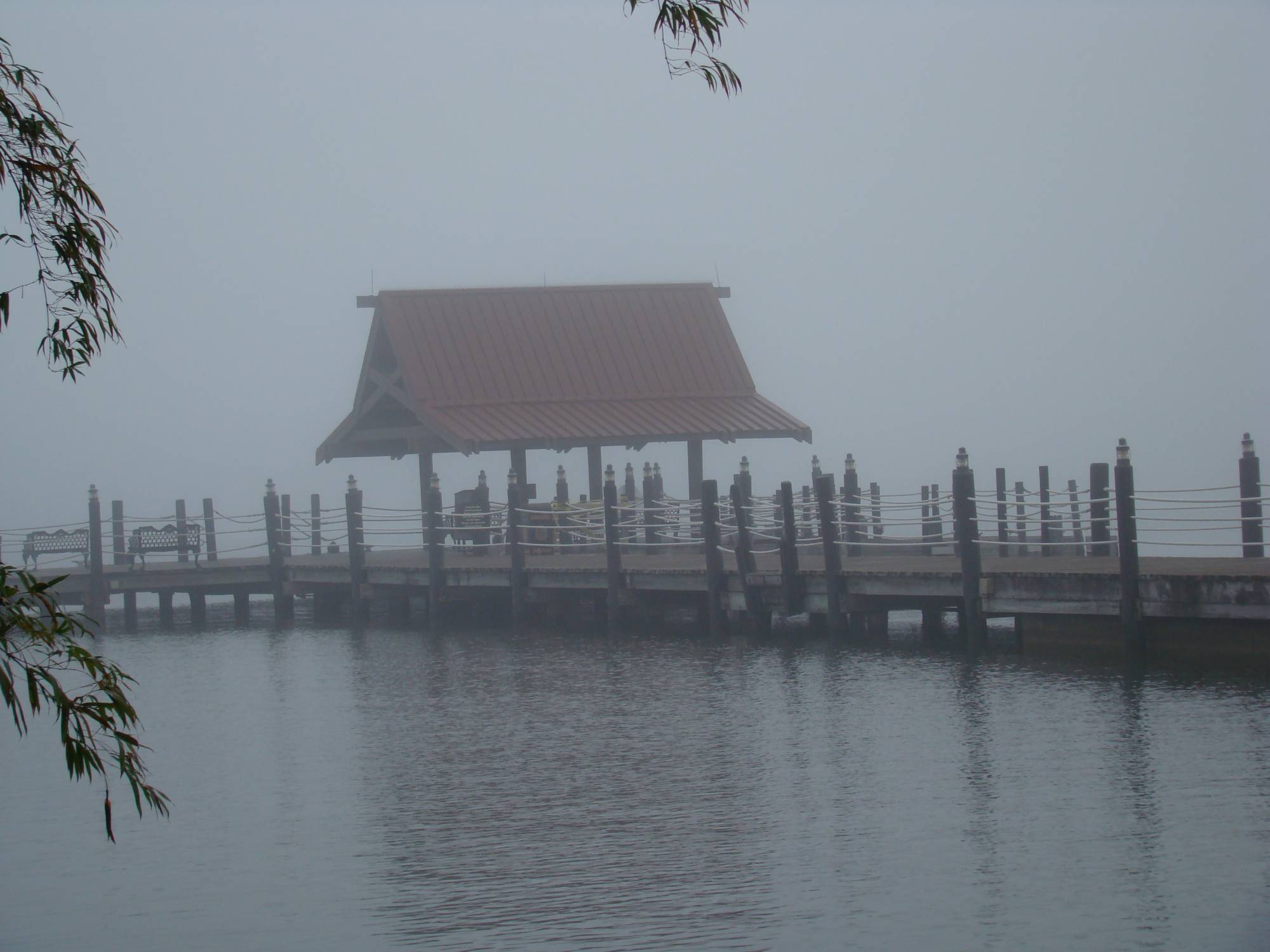 Where did Magic Kingdom go?