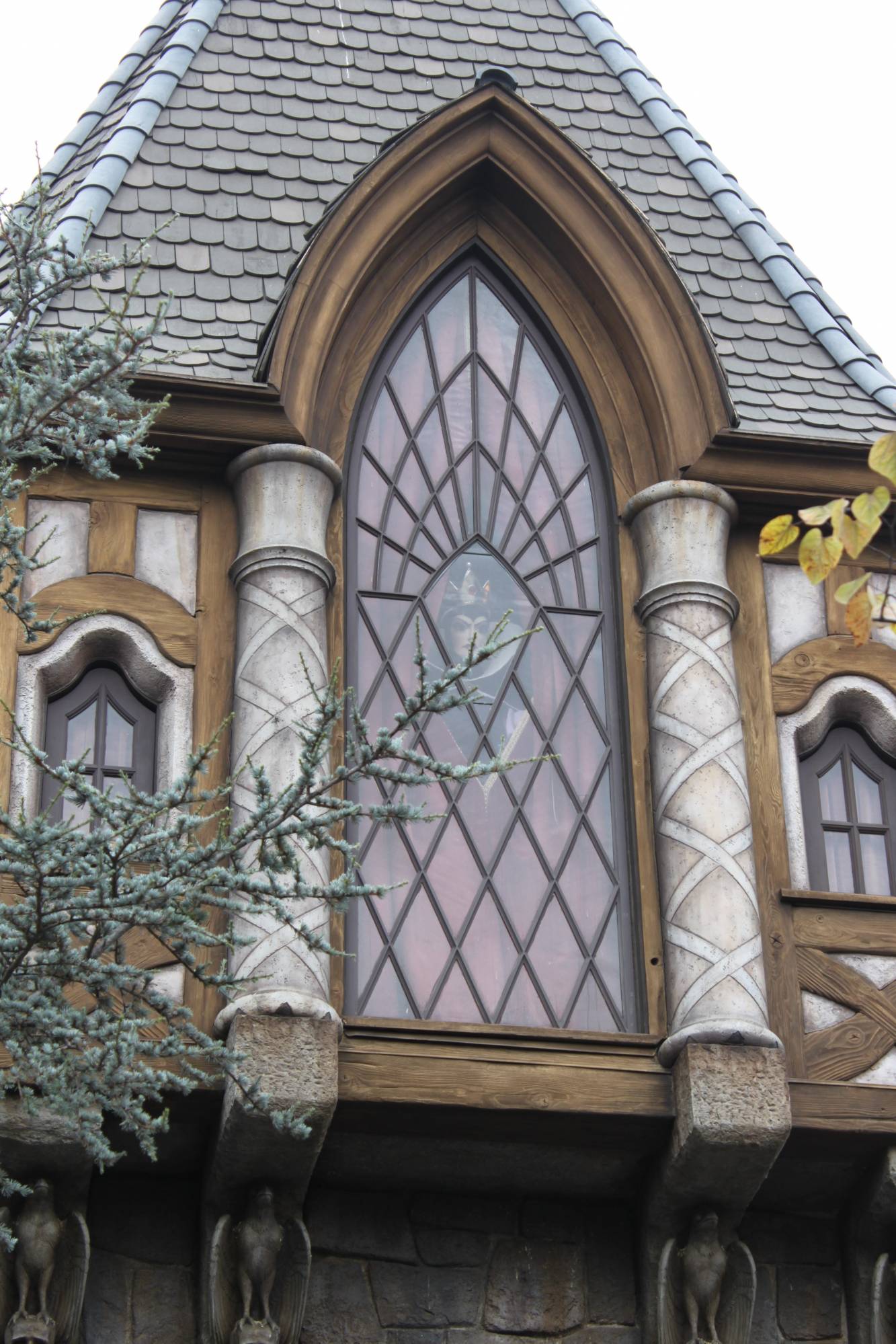 Disneyland - Fantasyland - Snow White's Scary Adventures