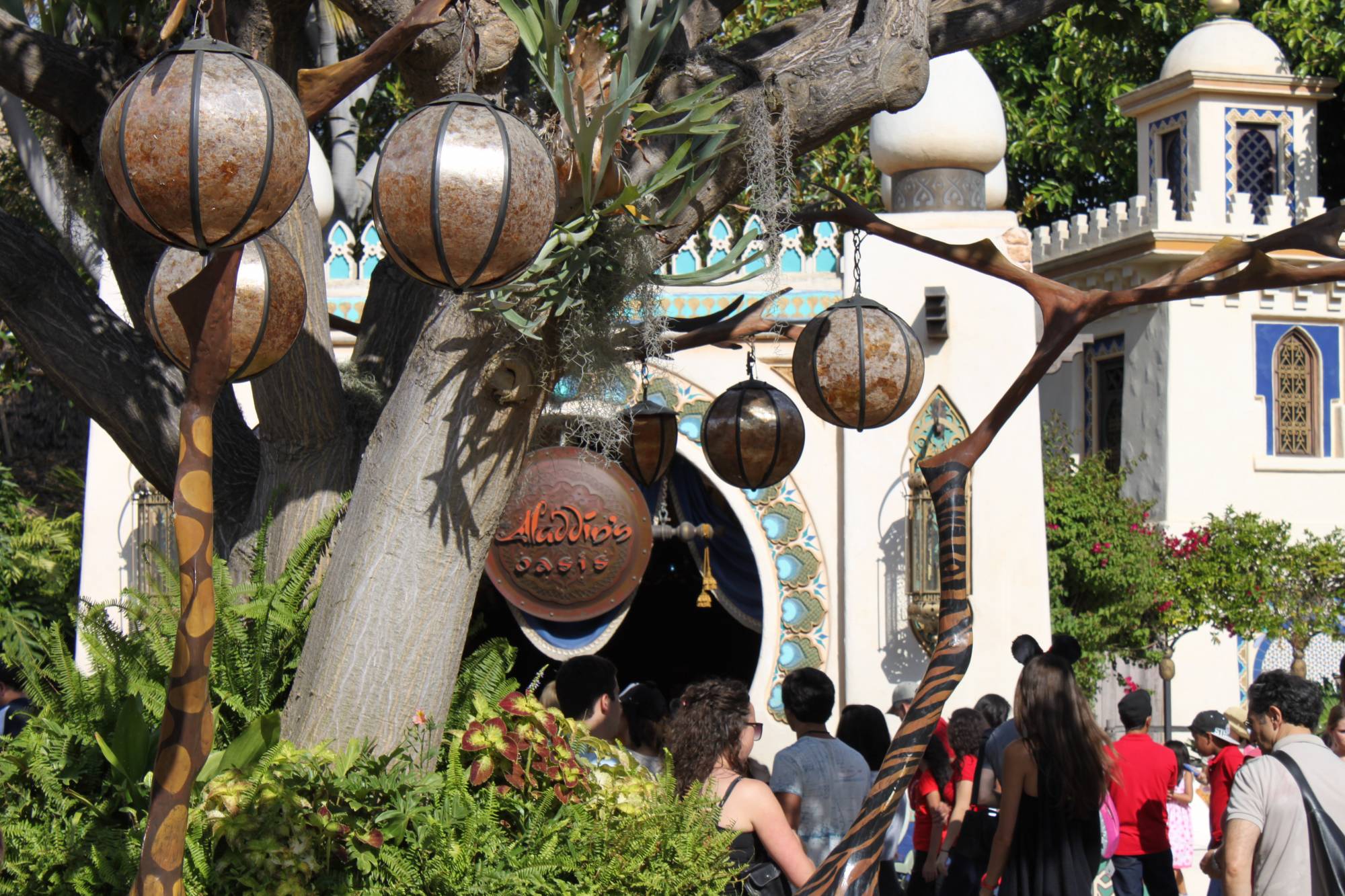 Disneyland - Adventureland - Aladdin's Oasis meet &amp; greet