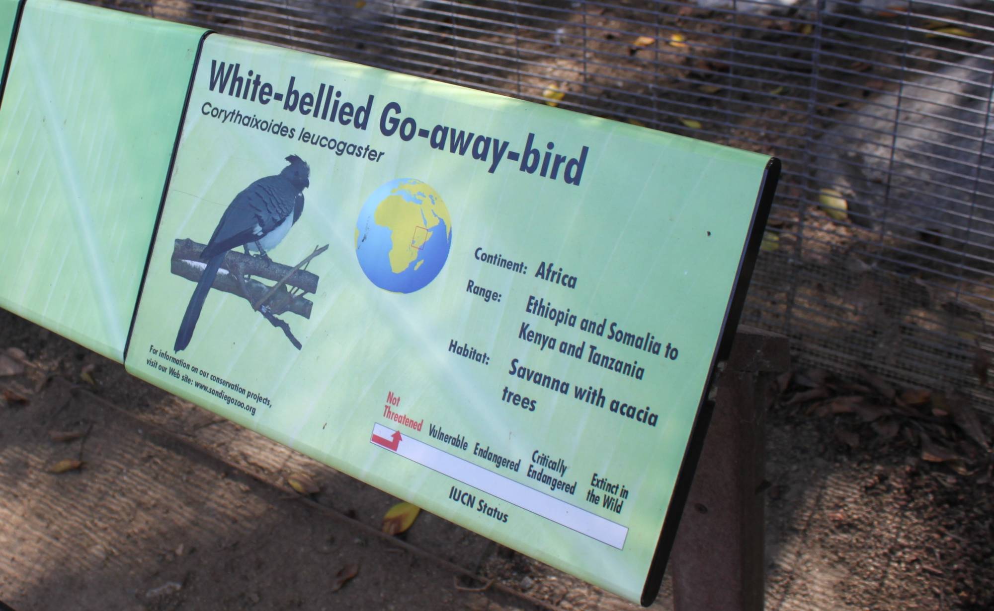 Sign for the Go-Away Bird at the San Diego Zoo