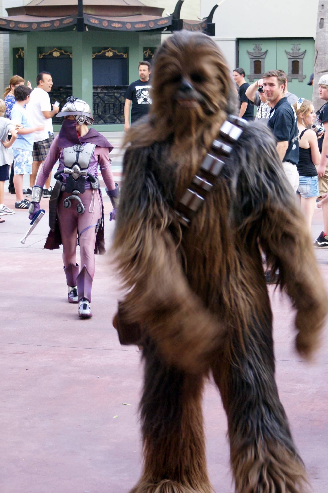 Chewbacca