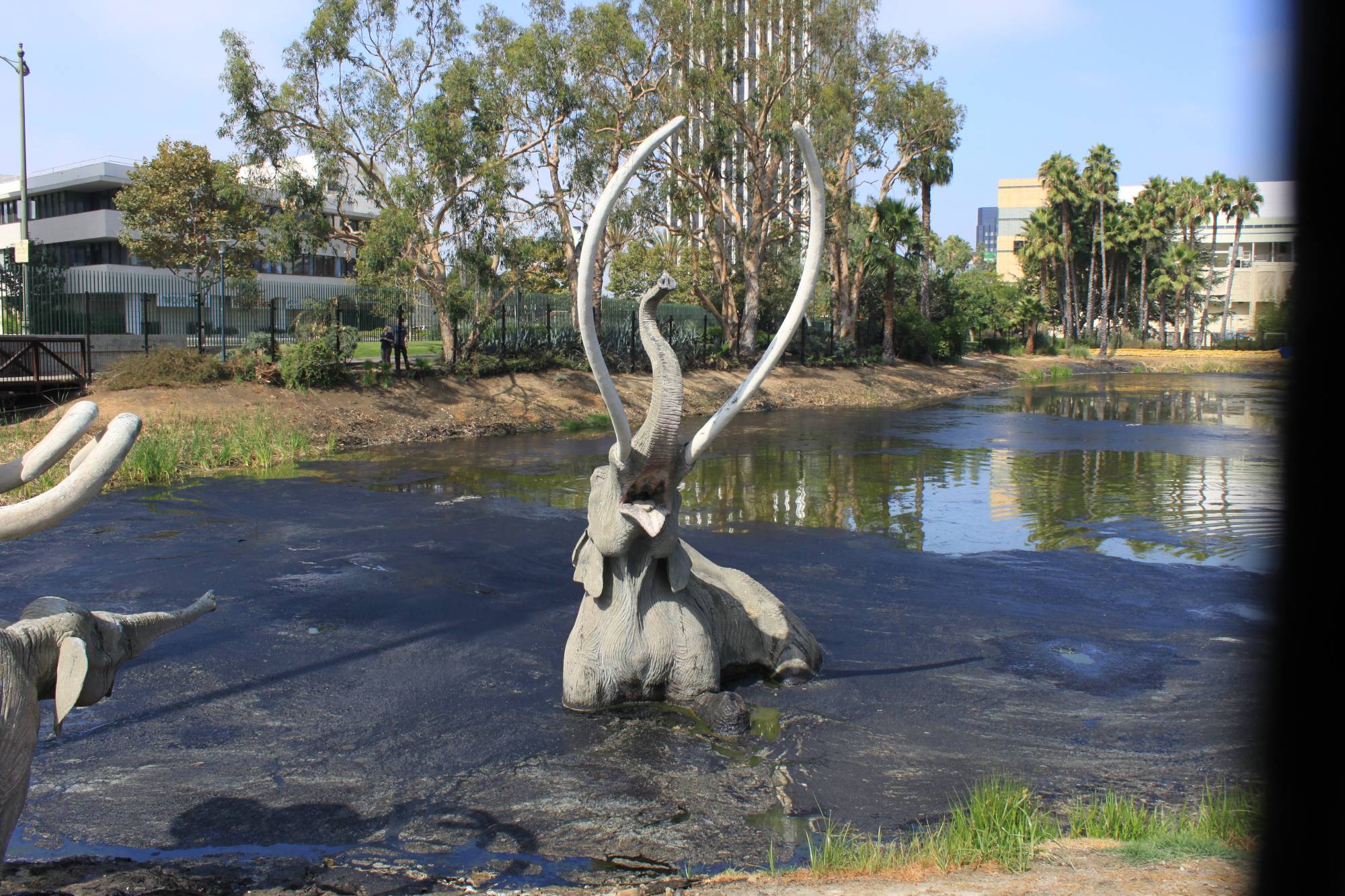 La Brea Tar Pits/George C. Page Museum