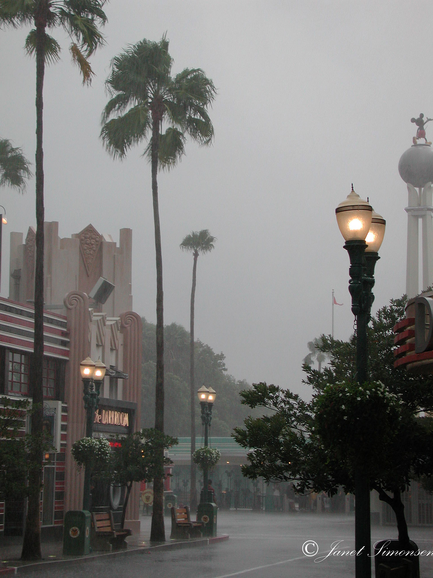 Disney Hollywood Studios - In the Rain!