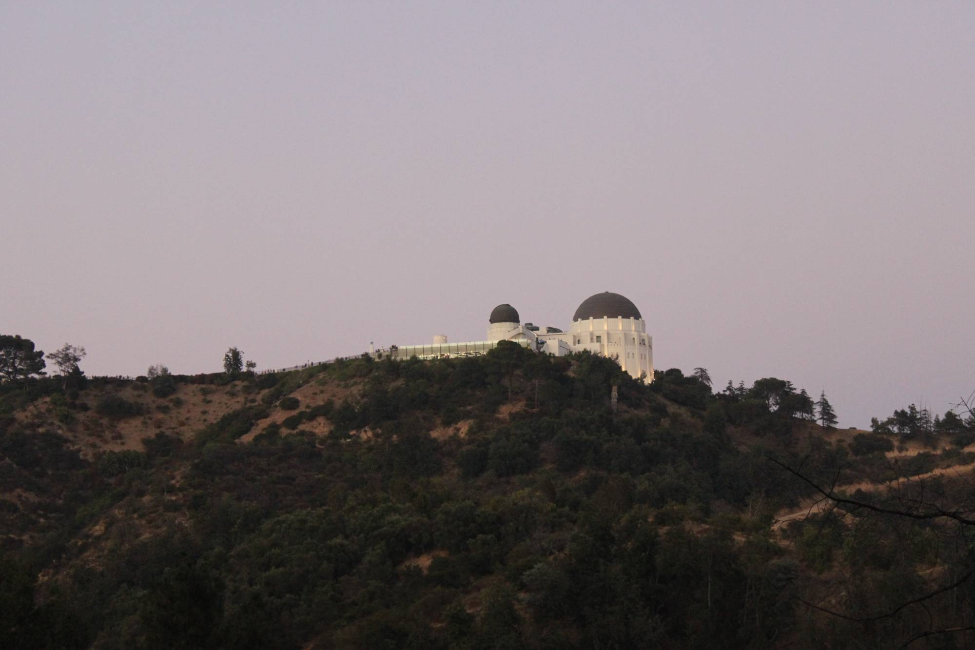 Griffith Observatory - taken from Griffith Park (Los Angeles)
