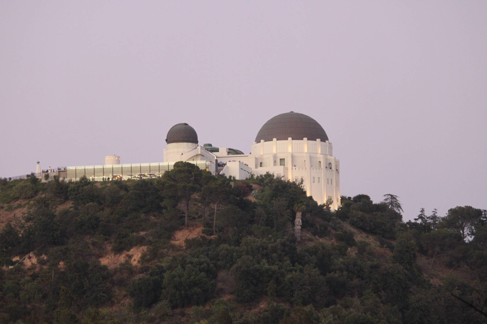Griffith Observatory - taken from Griffith Park (Los Angeles)