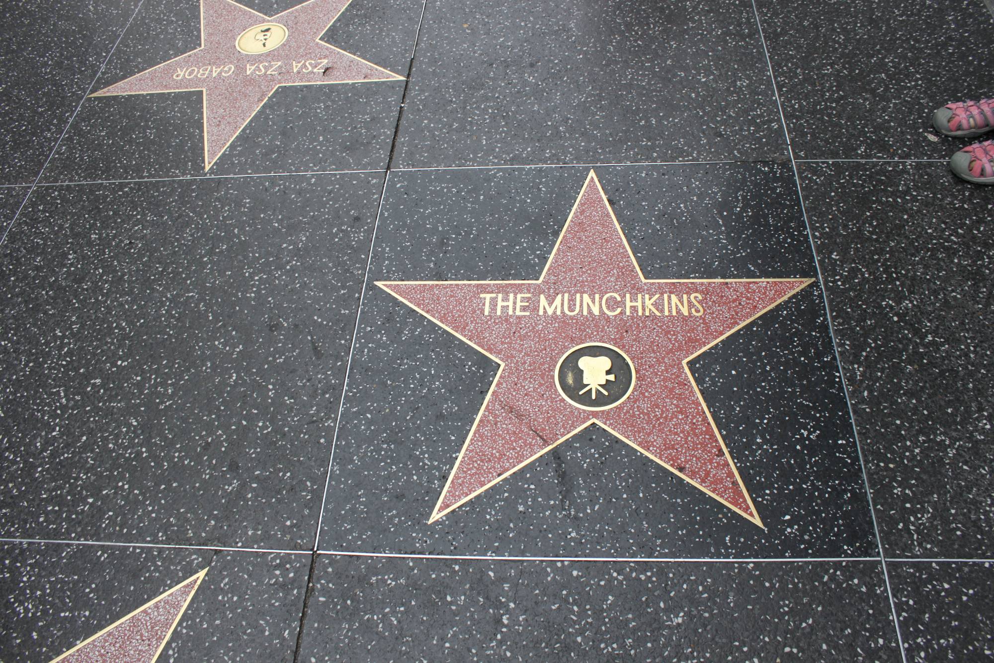 The Wizard of Oz Munchkins - Hollywood Walk of Fame star
