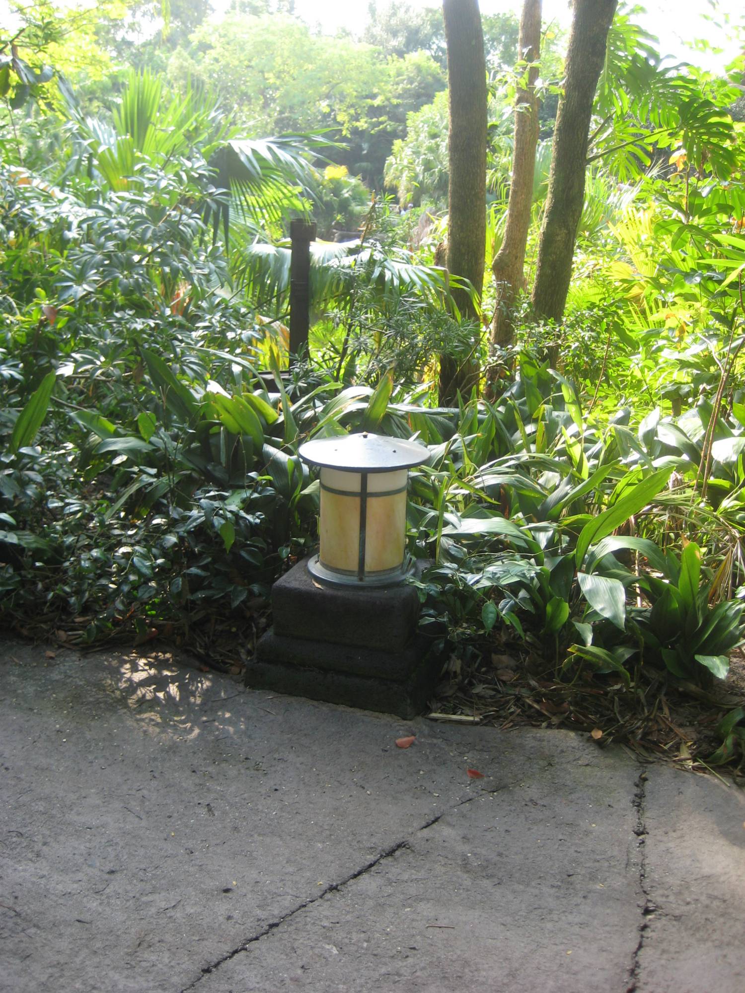 Animal Kingdom Asia Light Fixture