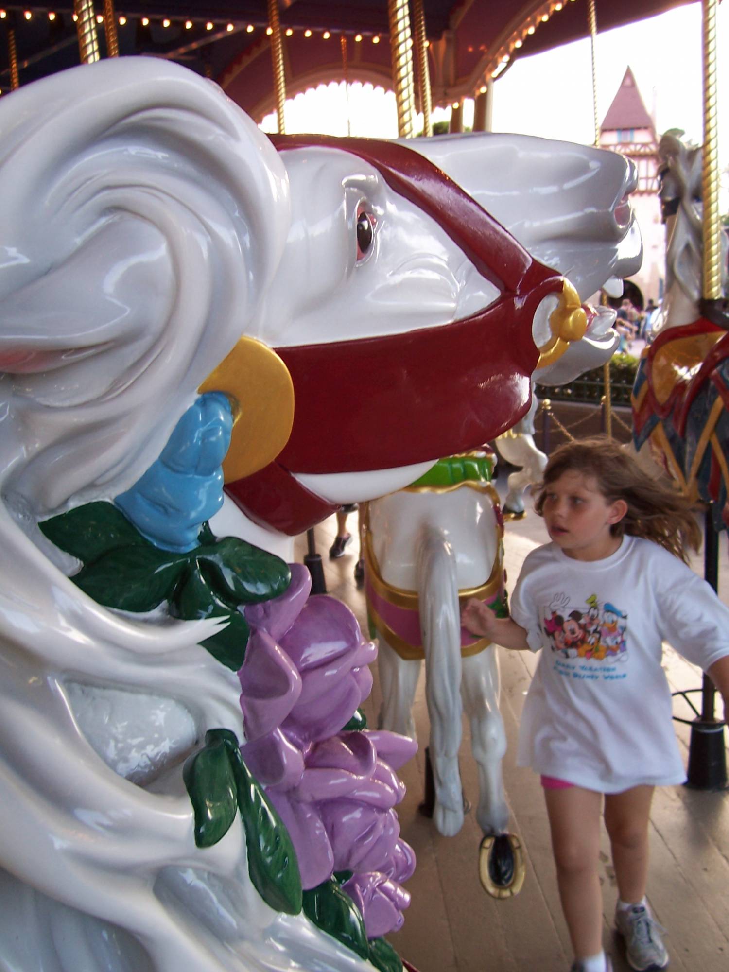 Magic Kingdom - Cinderella's Horse Close-up