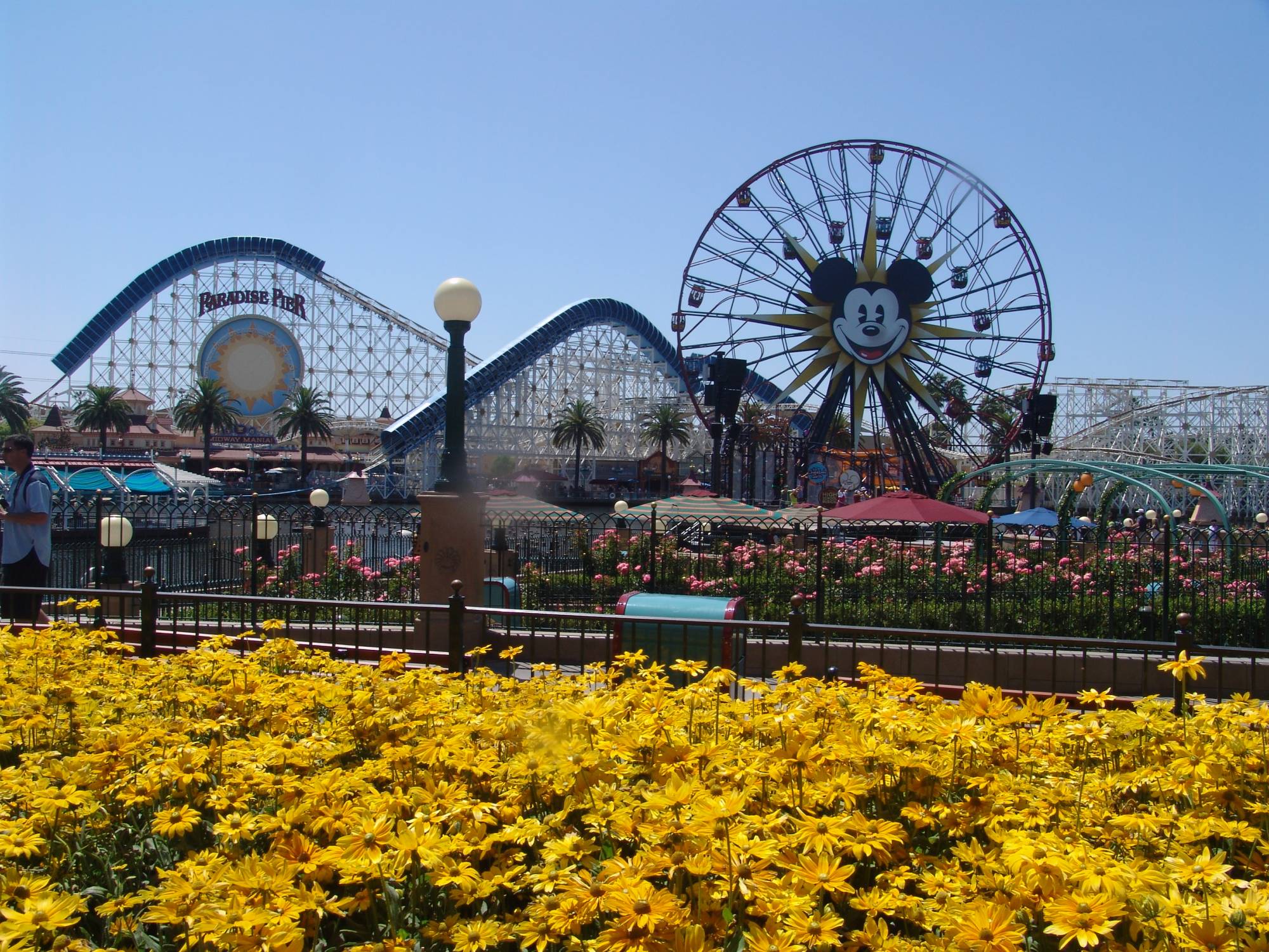 California Adventure - Paradise Pier