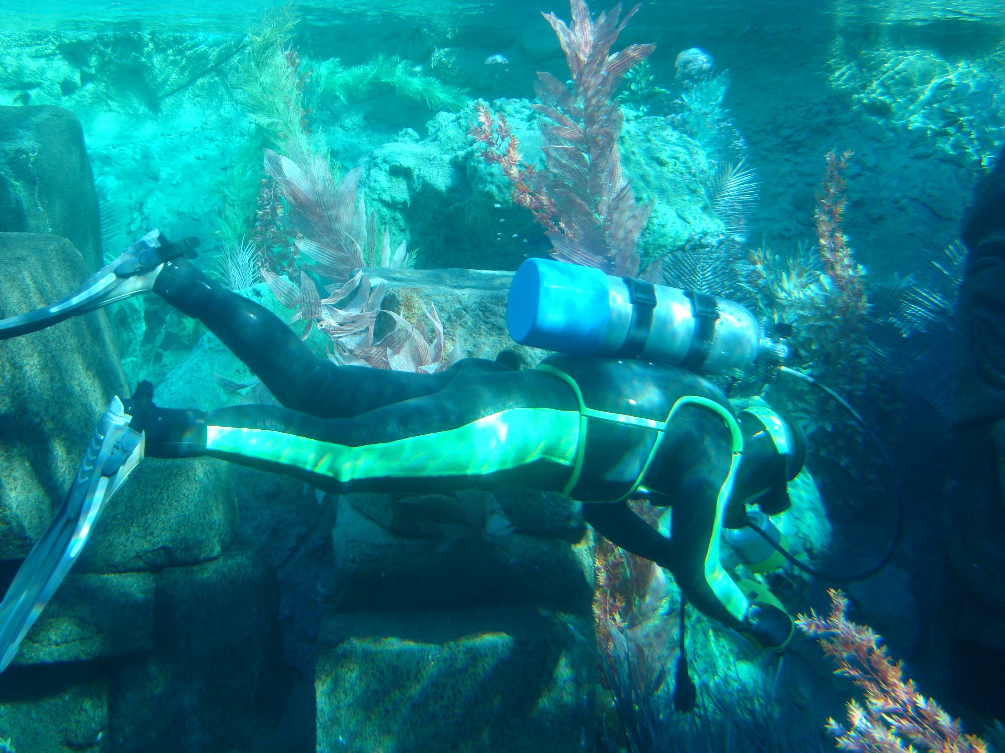 Disneyland - Finding Nemo Submarine Voyage
