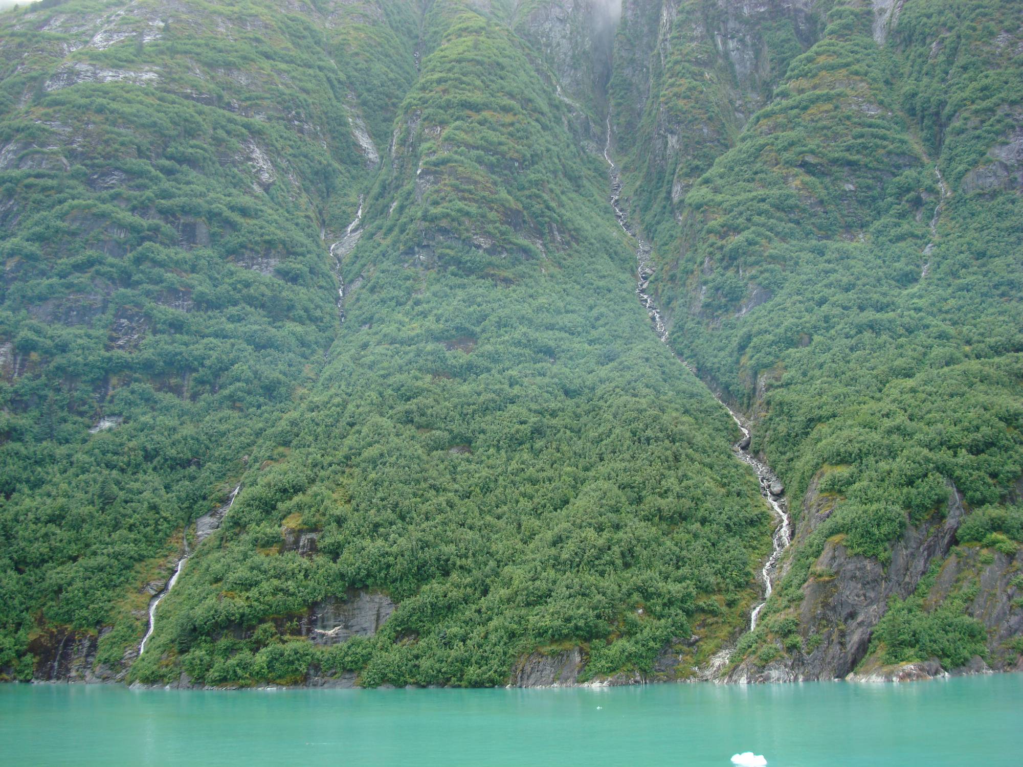 Alaska - Tracy Arm Fjord