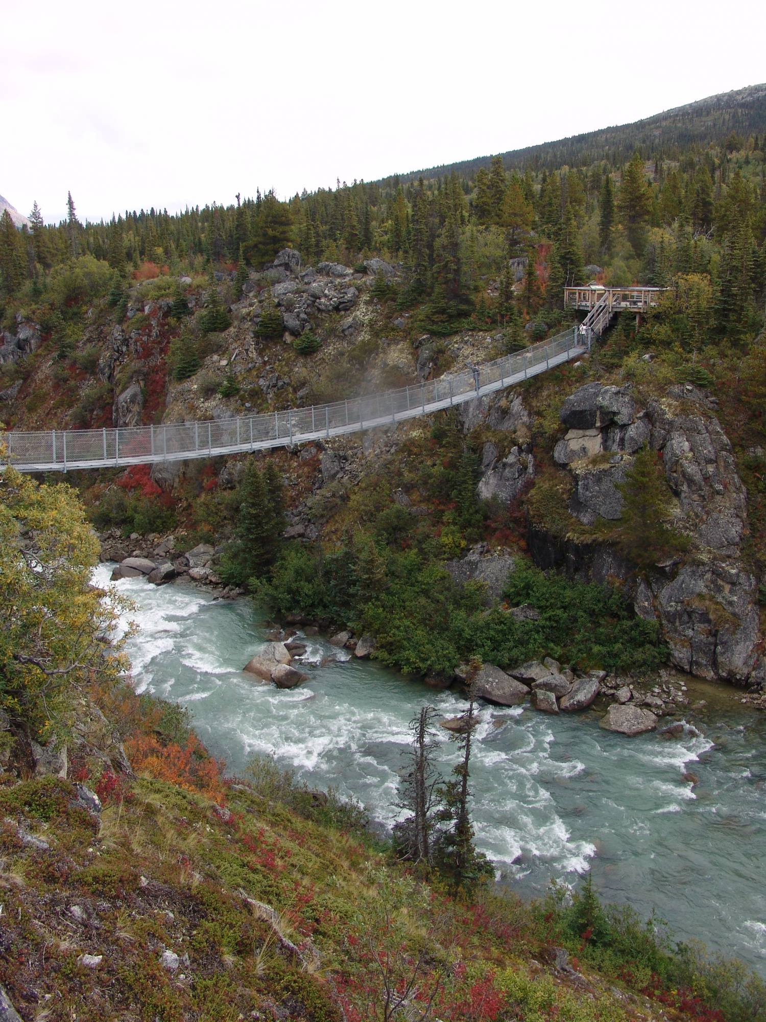 Yukon - Suspension Bridge