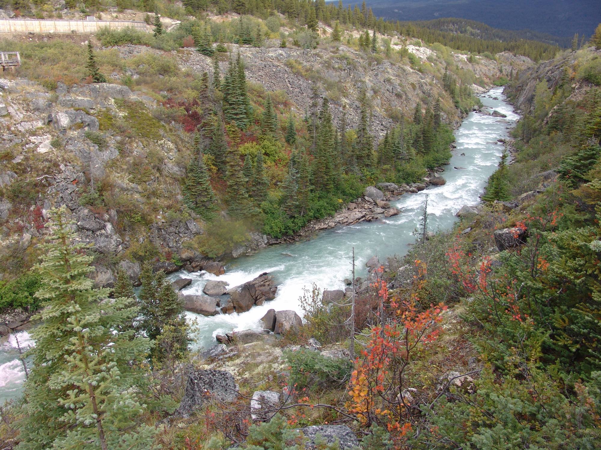 Yukon - Suspension Bridge