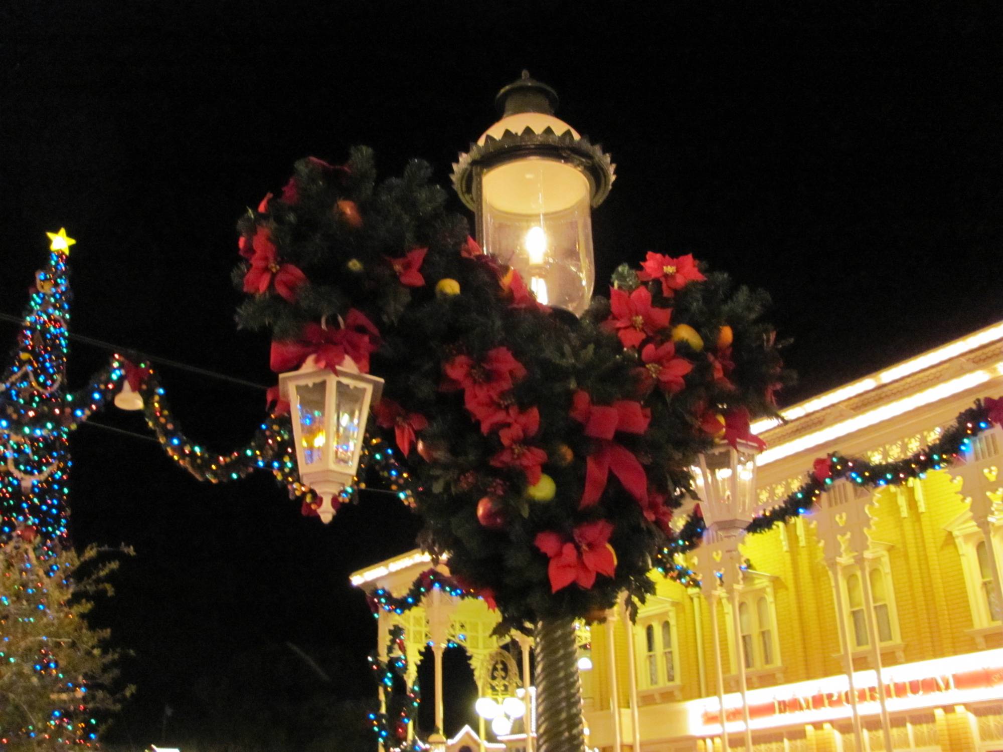 Magic Kingdom at Christmas