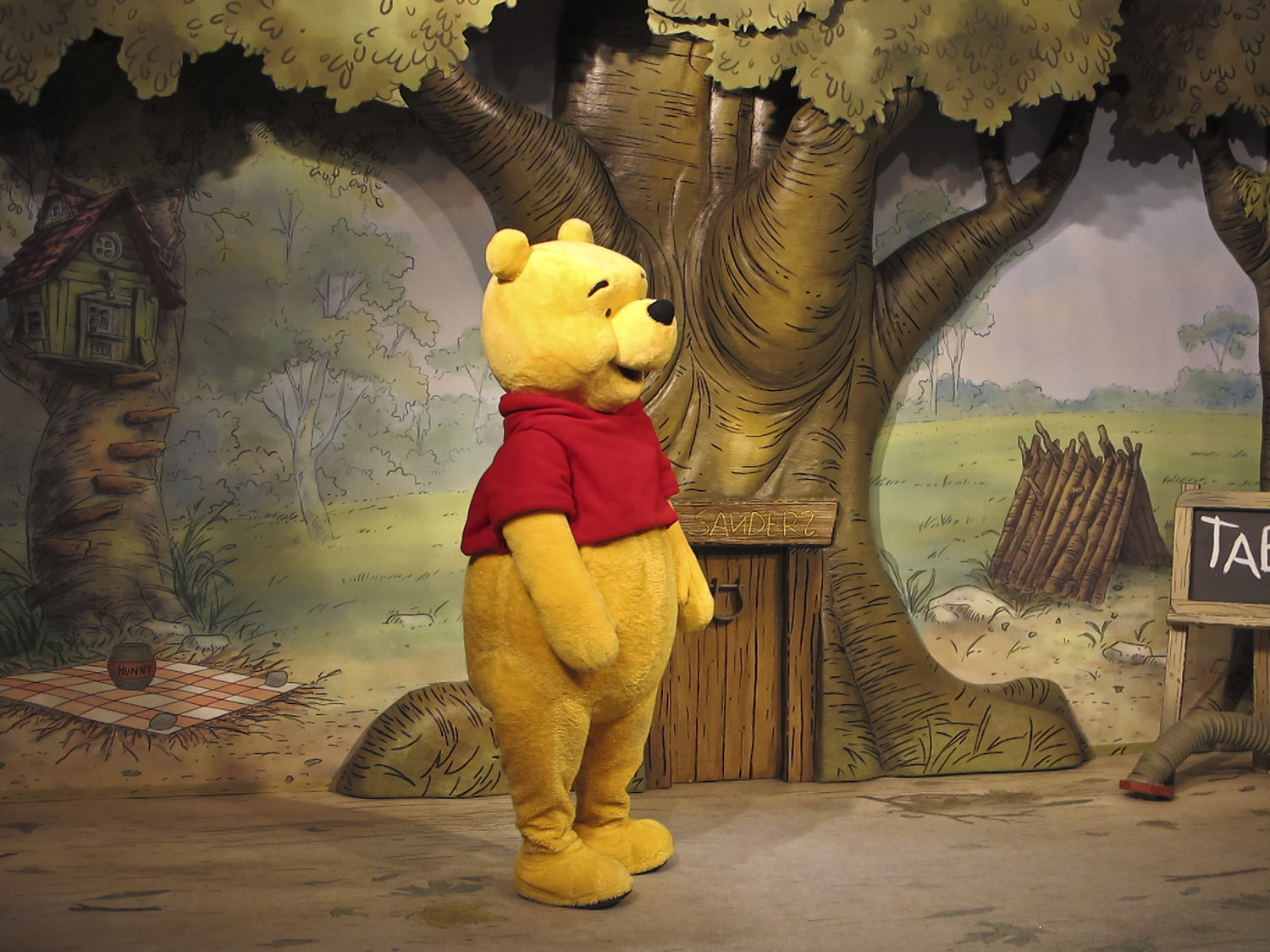 Disney Hollywood Studios - Winnie the Pooh