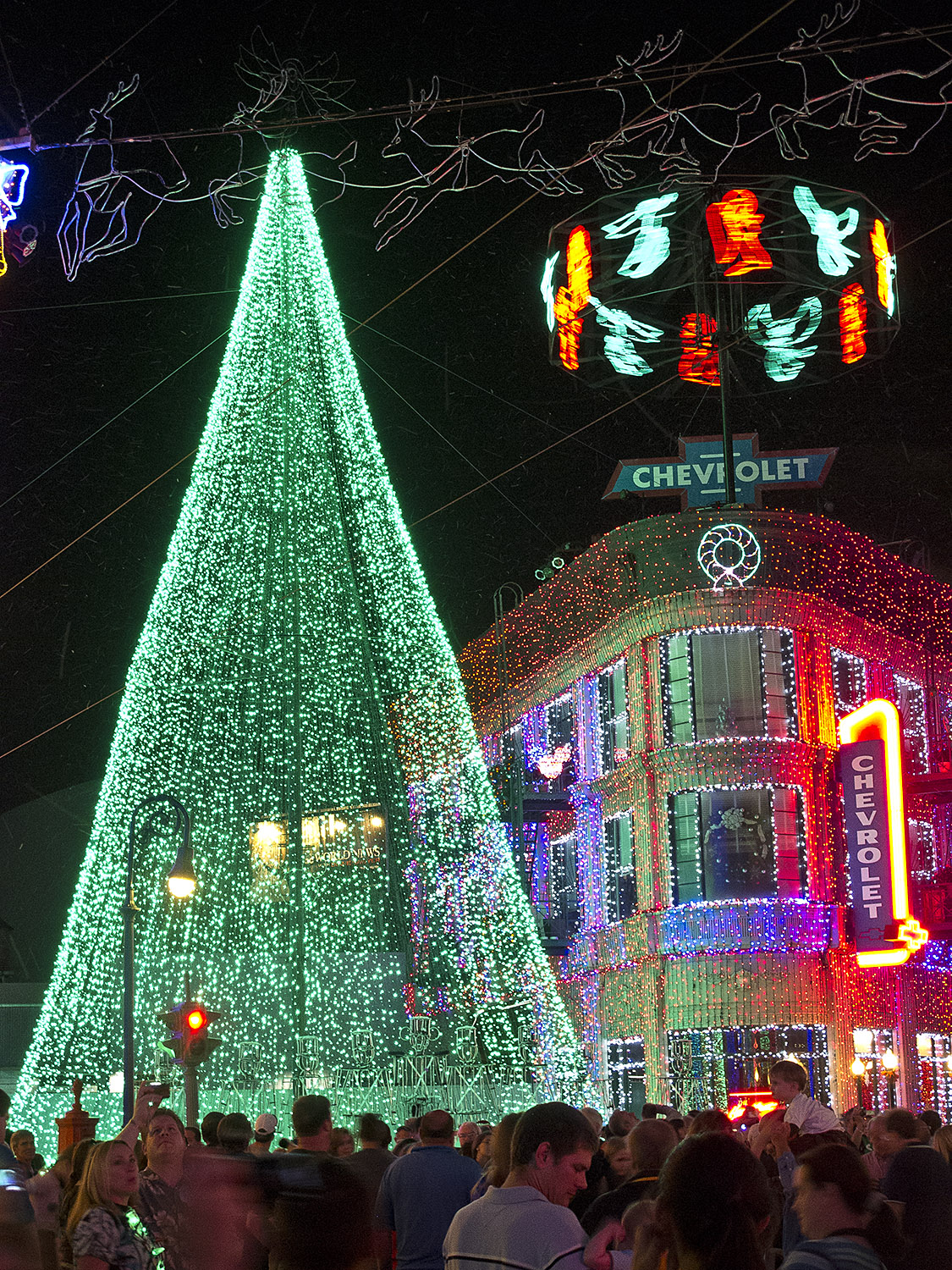 Disney Hollywood Studios - Osborne Spectacle of Lights