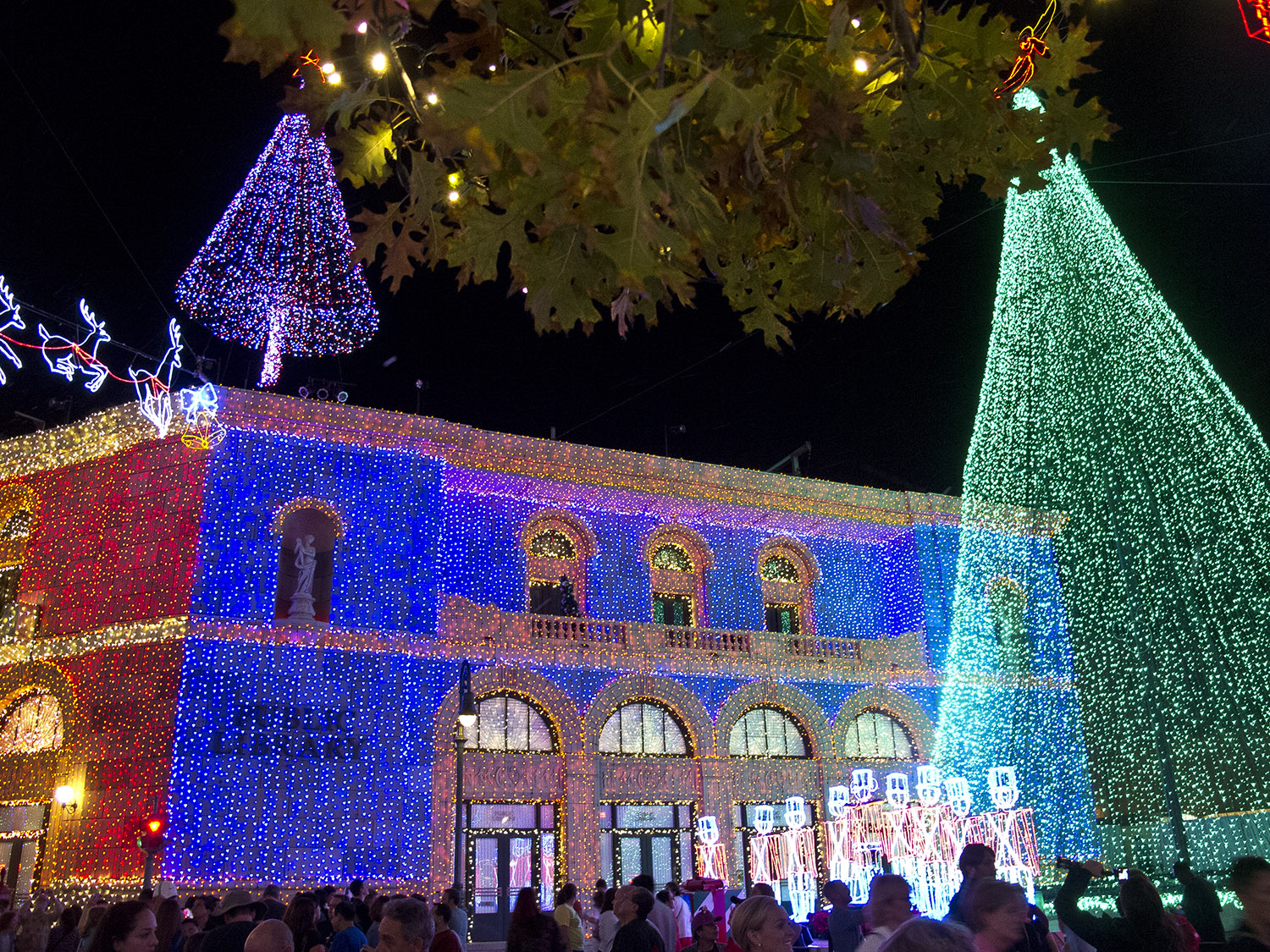 Disney Hollywood Studios - Osborne Spectacle of Lights