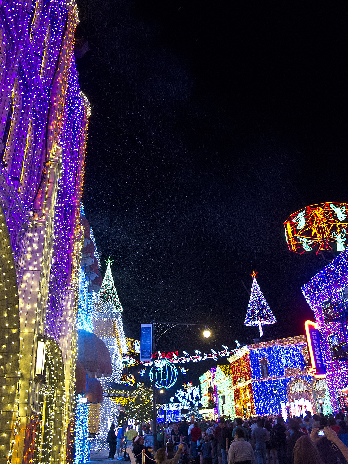 Disney Hollywood Studios - Osborne Spectacle of Lights