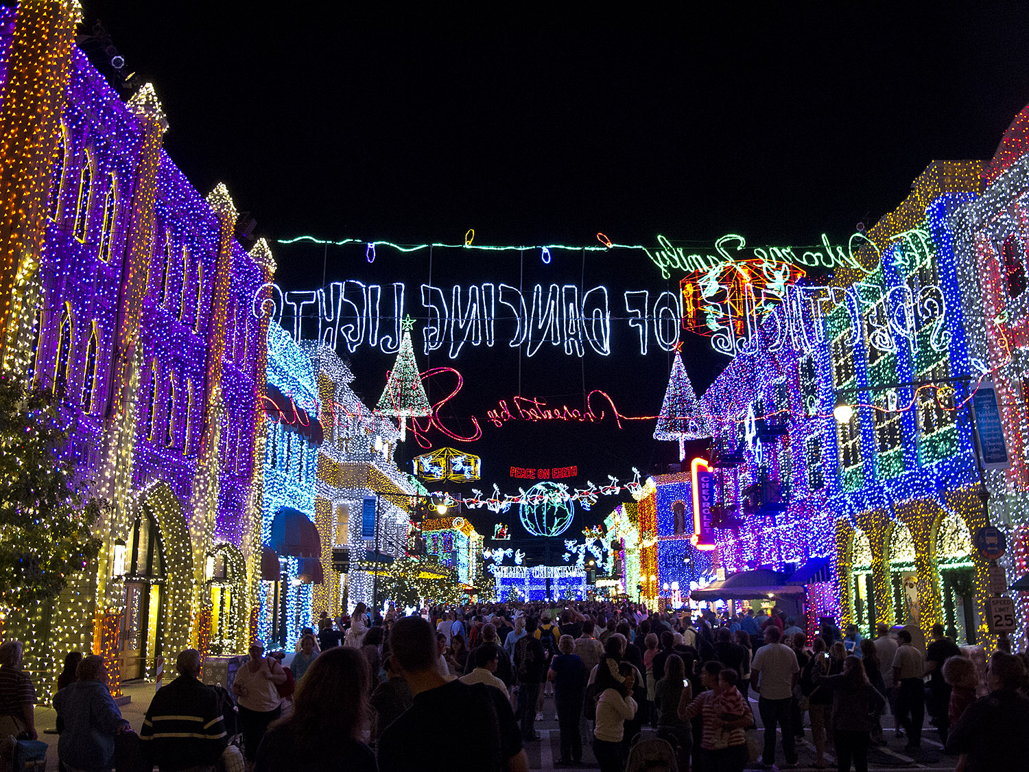 Disney Hollywood Studios - Osborne Spectacle of Lights