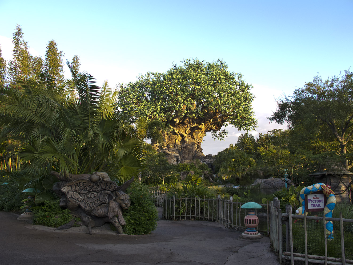 Animal Kingdom - Tree of Life