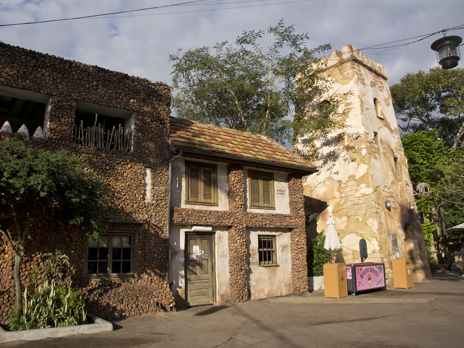 Animal Kingdom - Africa