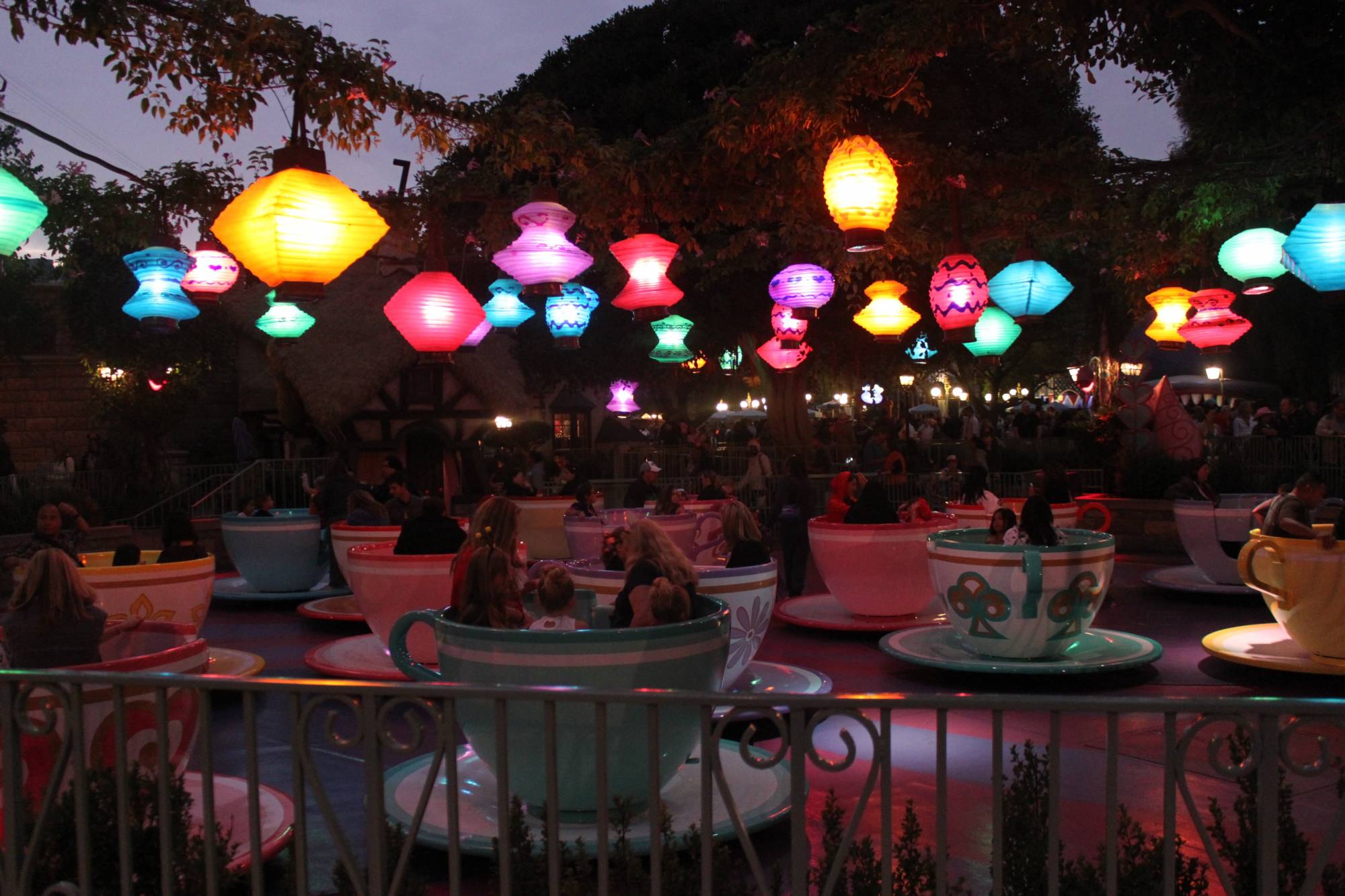 Disneyland Park - Tea Cups at Night