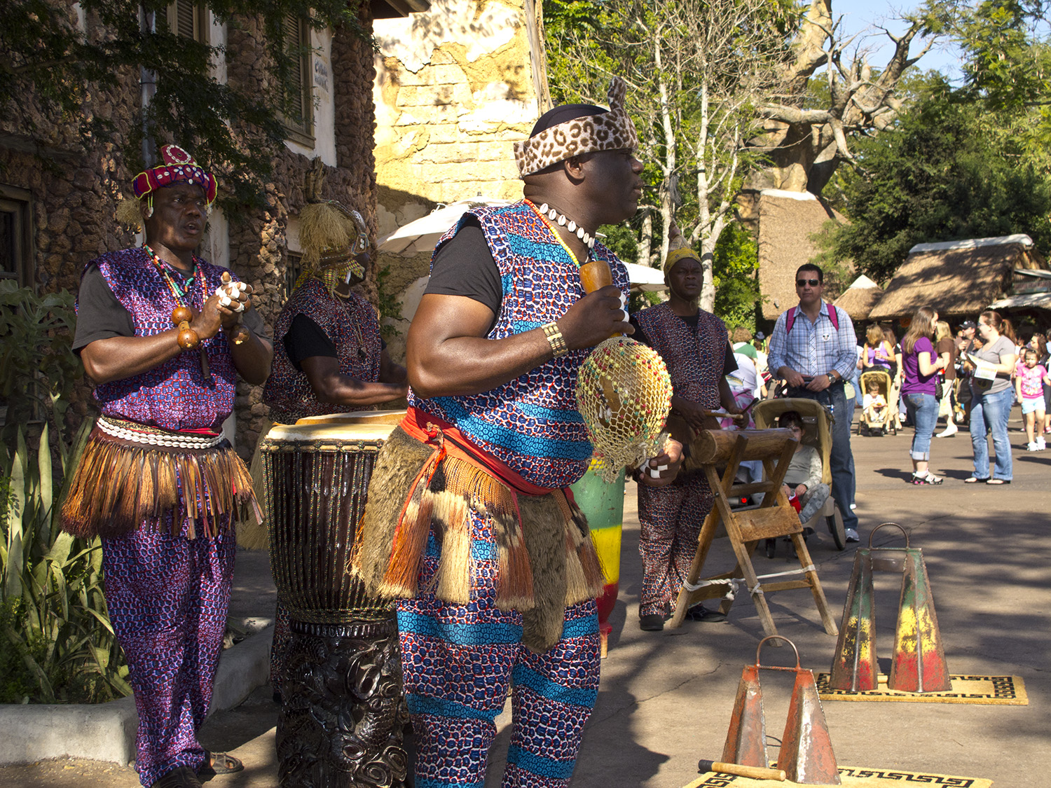 Animal Kingdom - Africa