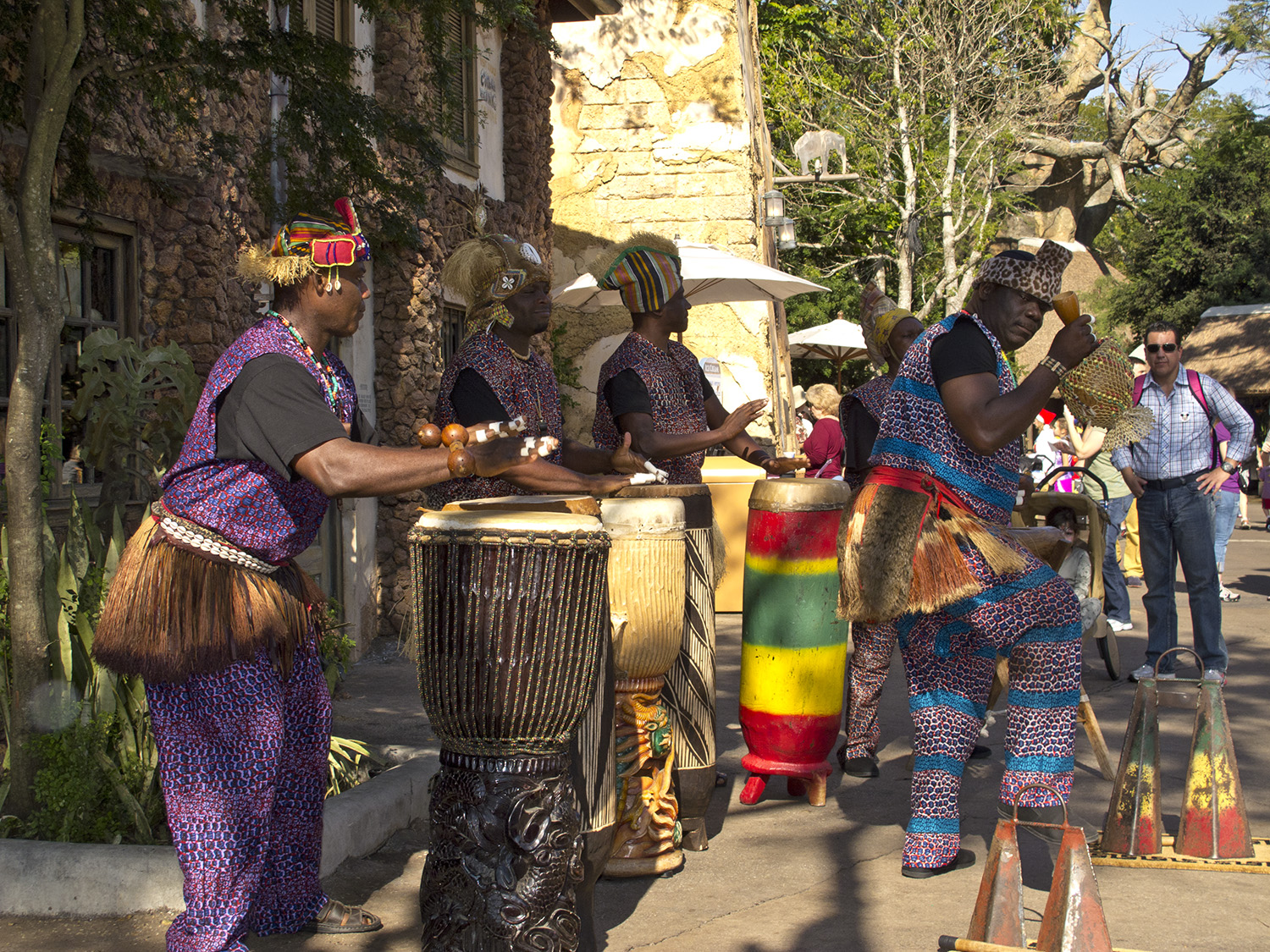 Animal Kingdom - Africa