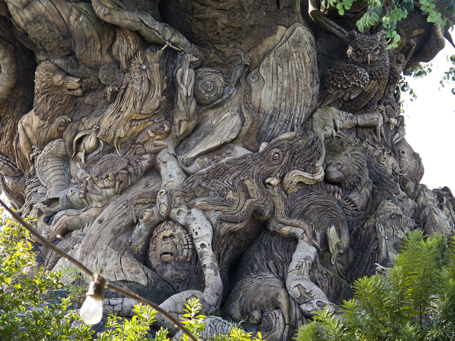 Animal Kingdom - Tree of Life