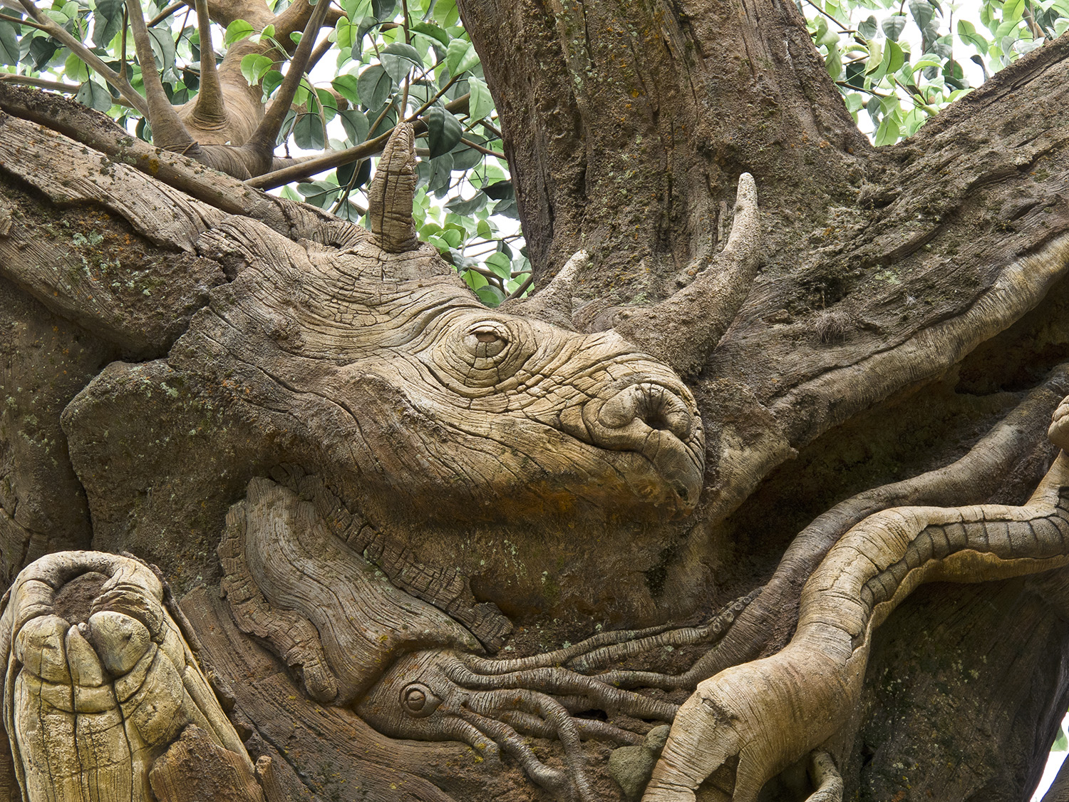 Animal Kingdom - Tree of Life
