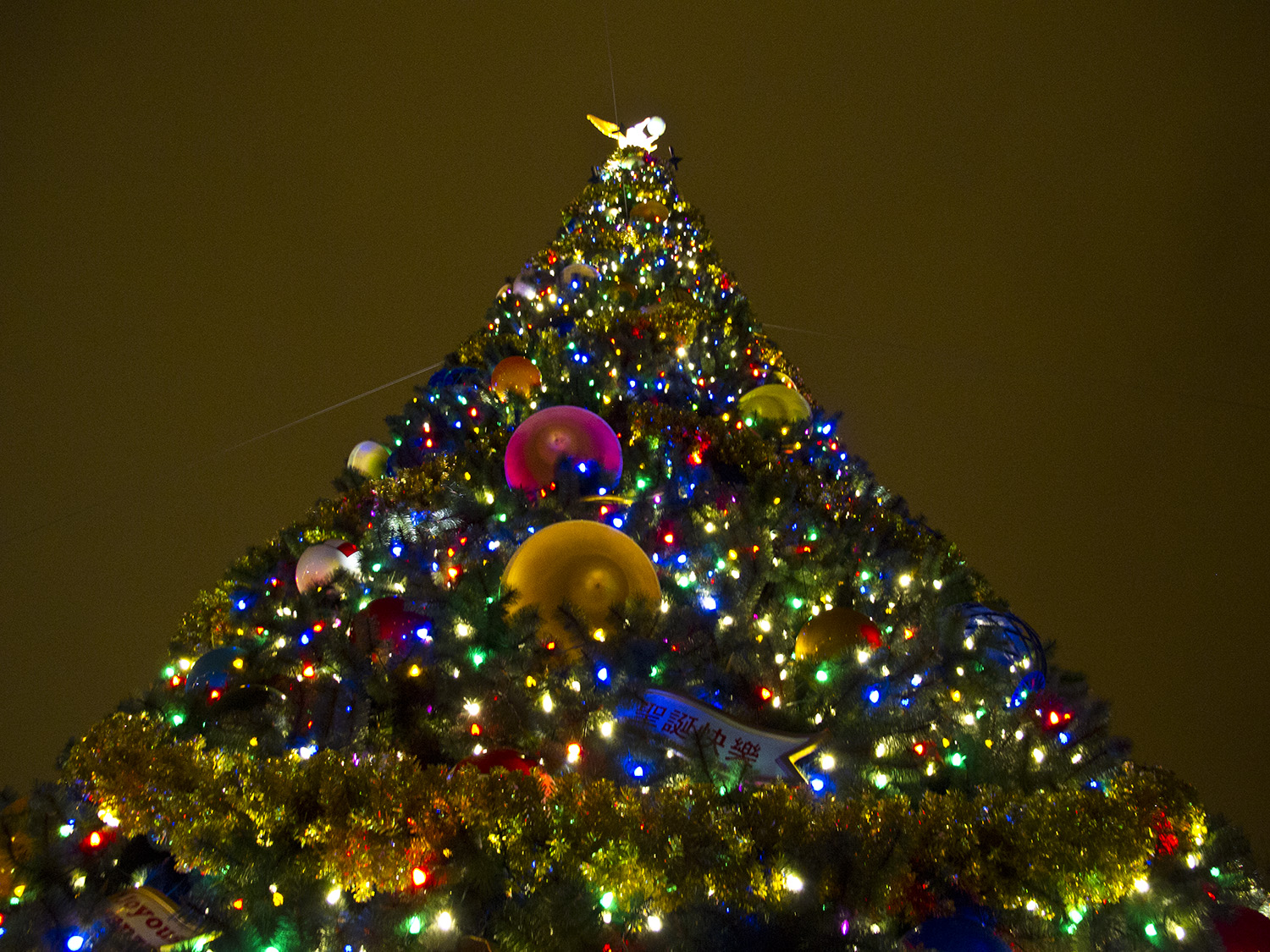 Epcot - Christmas Tree