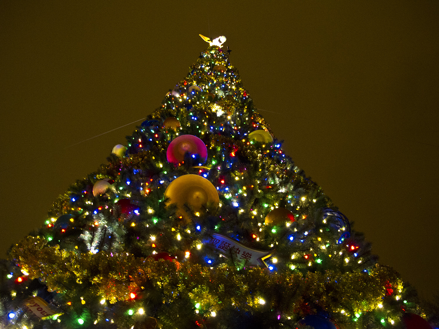 Epcot - Christmas Tree