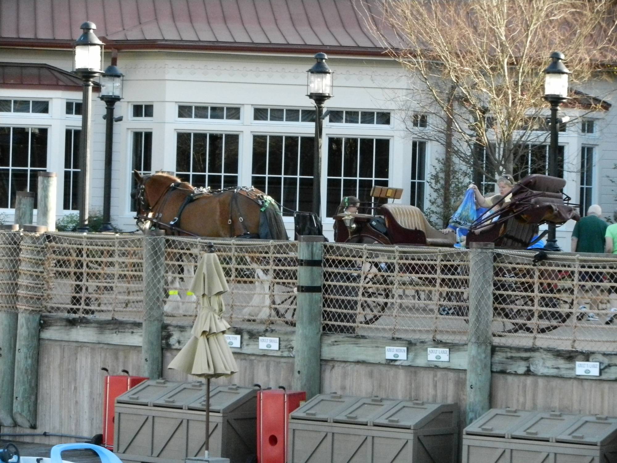 Horse Drawn Carriage