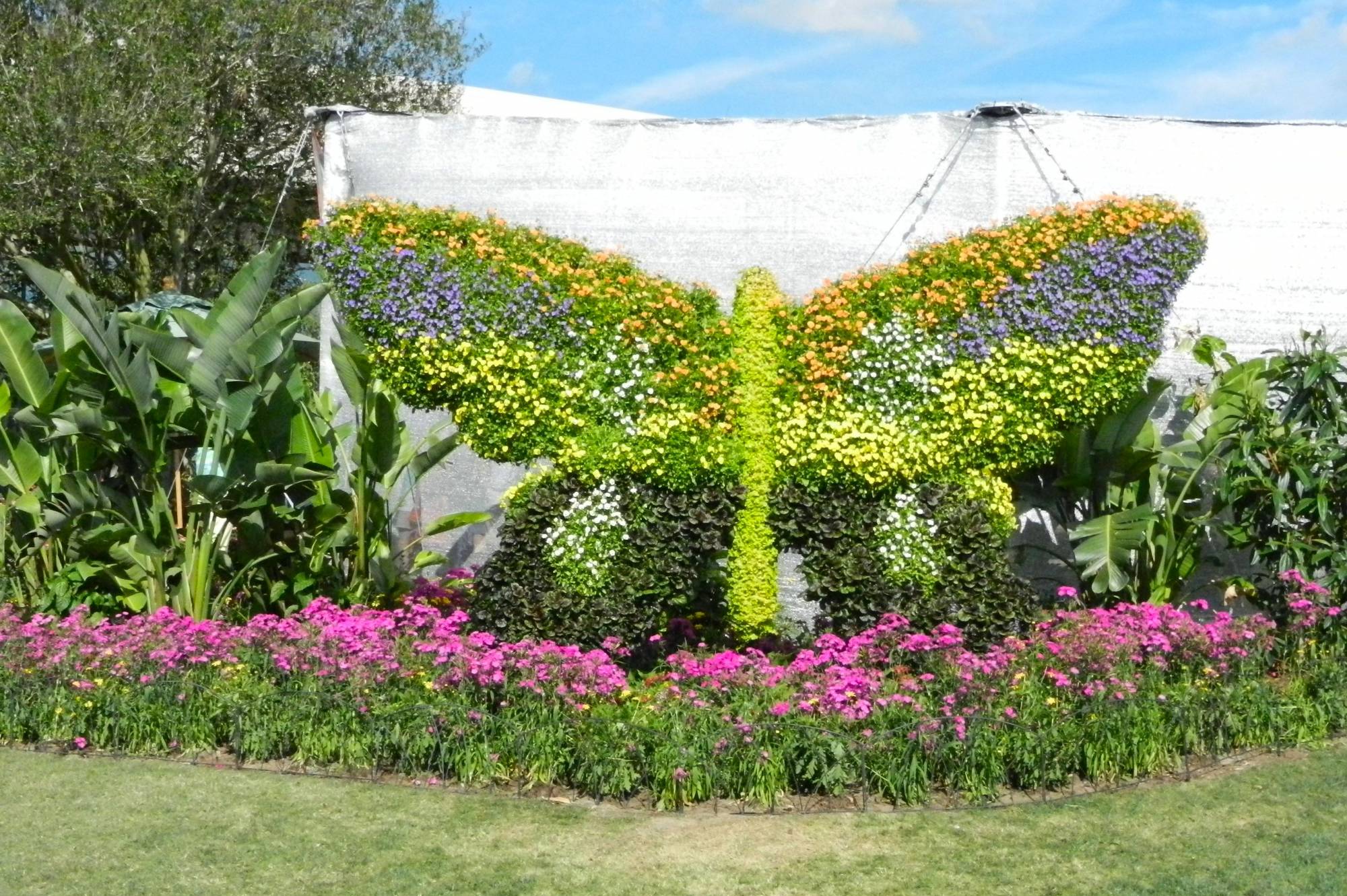 Butterfly Topiary