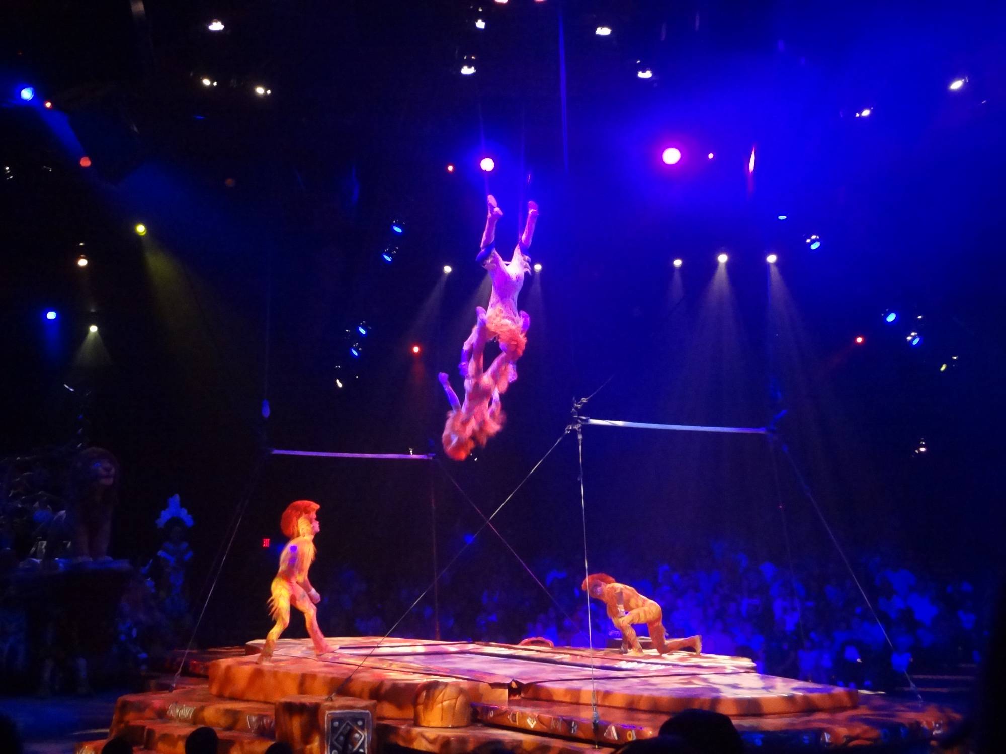Disney's Animal Kingdom - Lion King Show