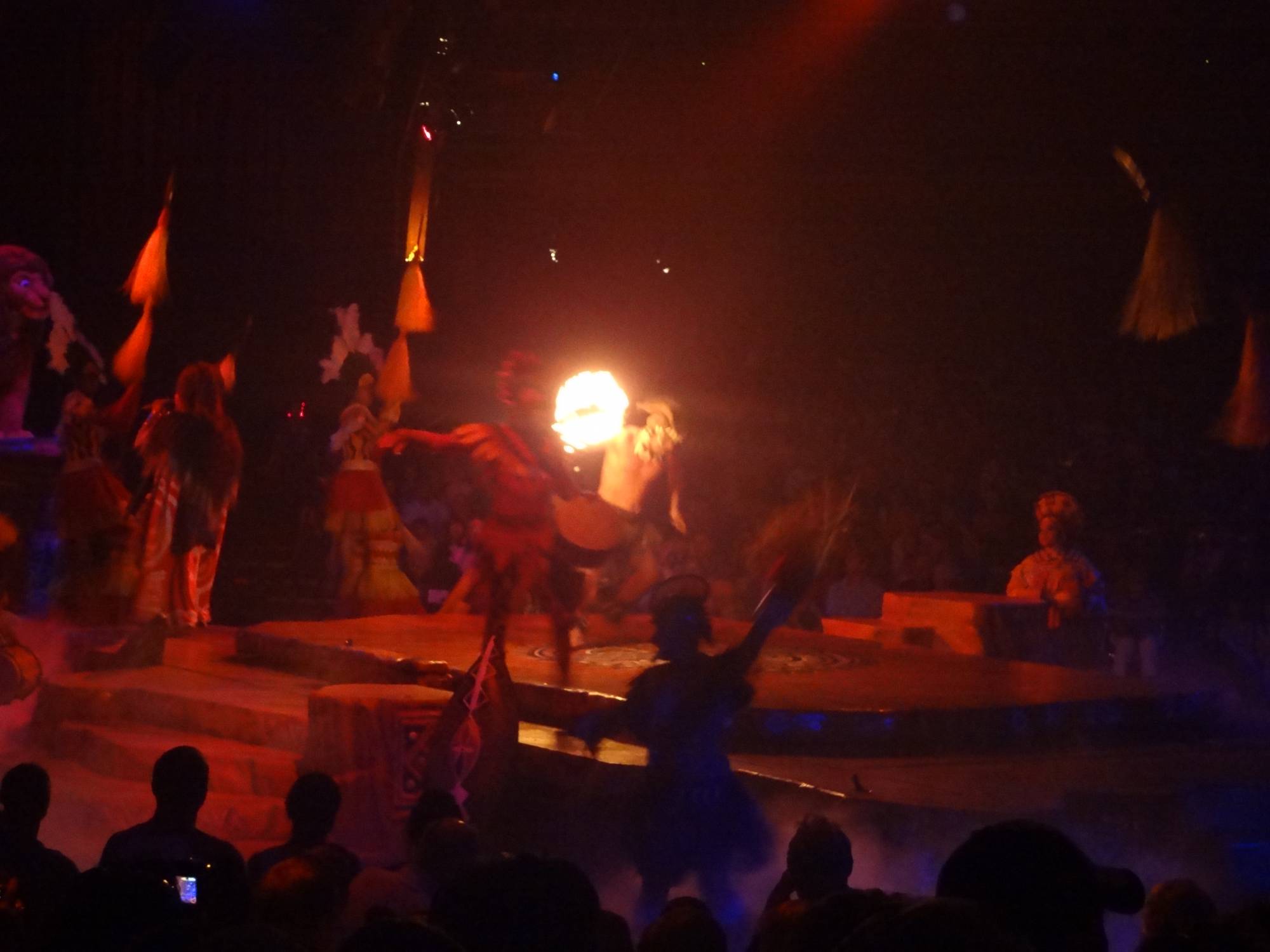 Disney's Animal Kingdom - Lion King Show