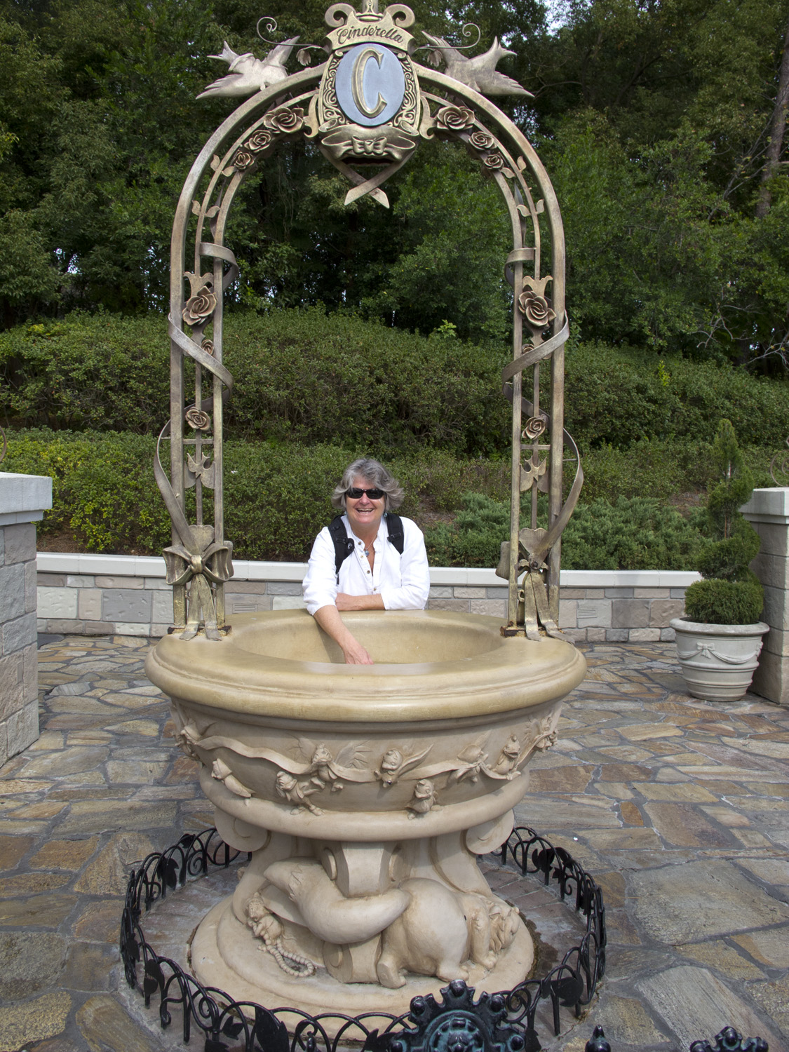 Magic Kingdom - Wishing Well