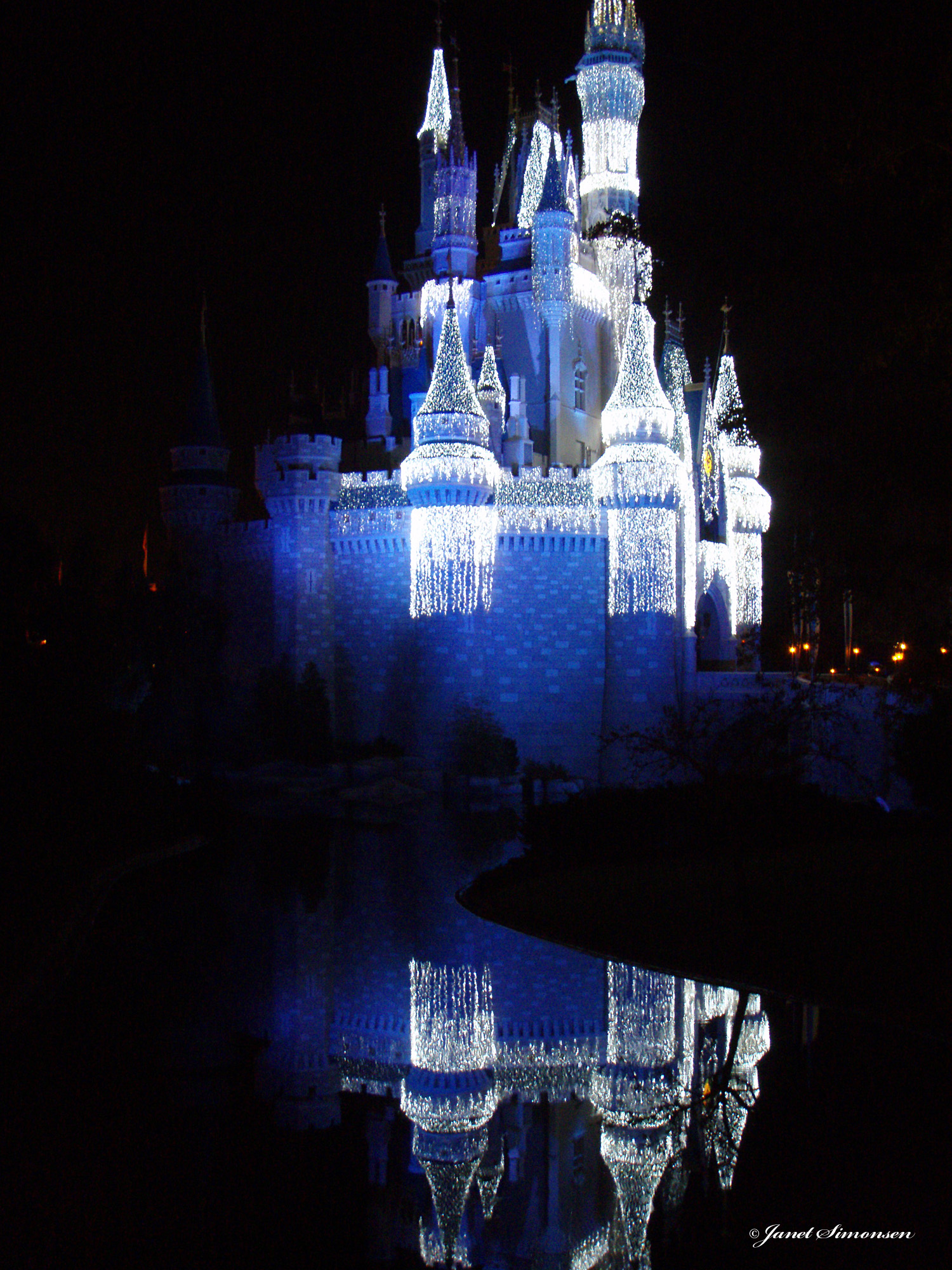 Magic Kingdom - Christmas Castle