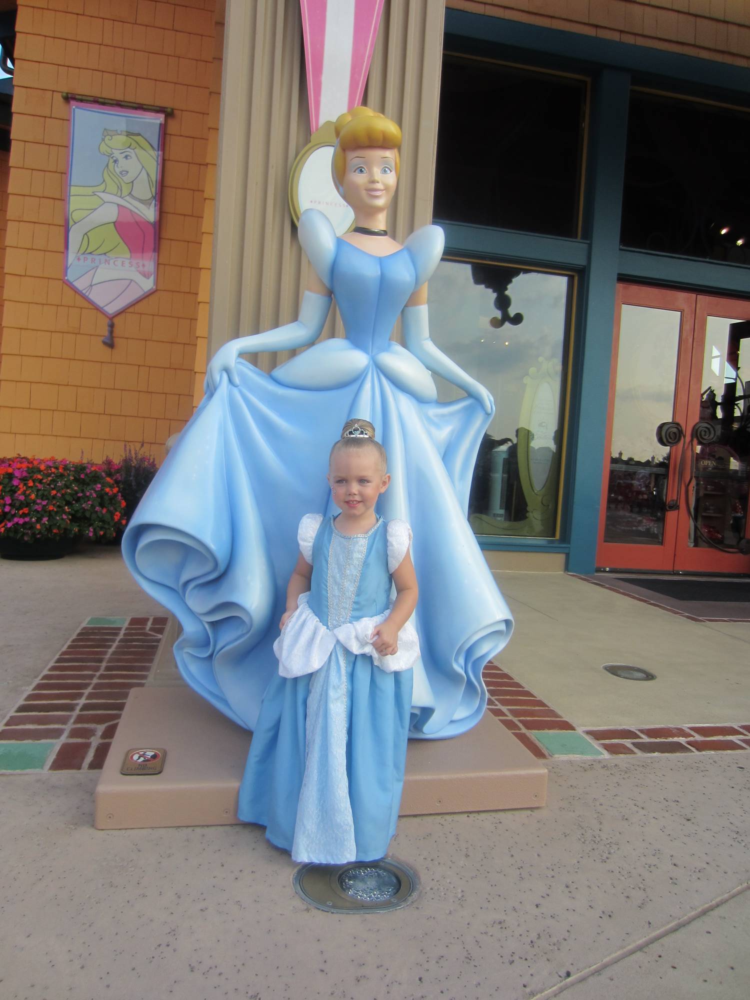 Princess Audrey and Her Cinderella
