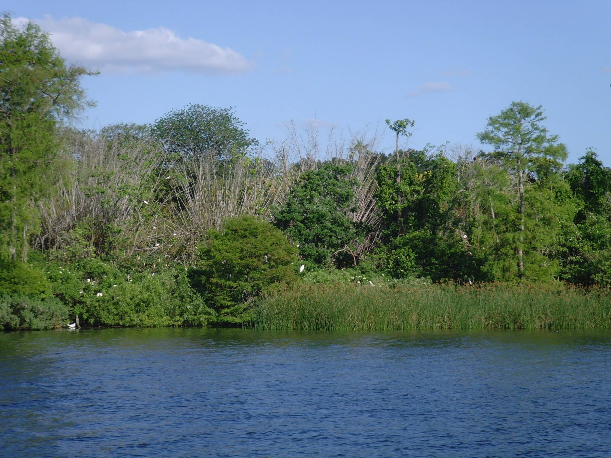 Discovery Island