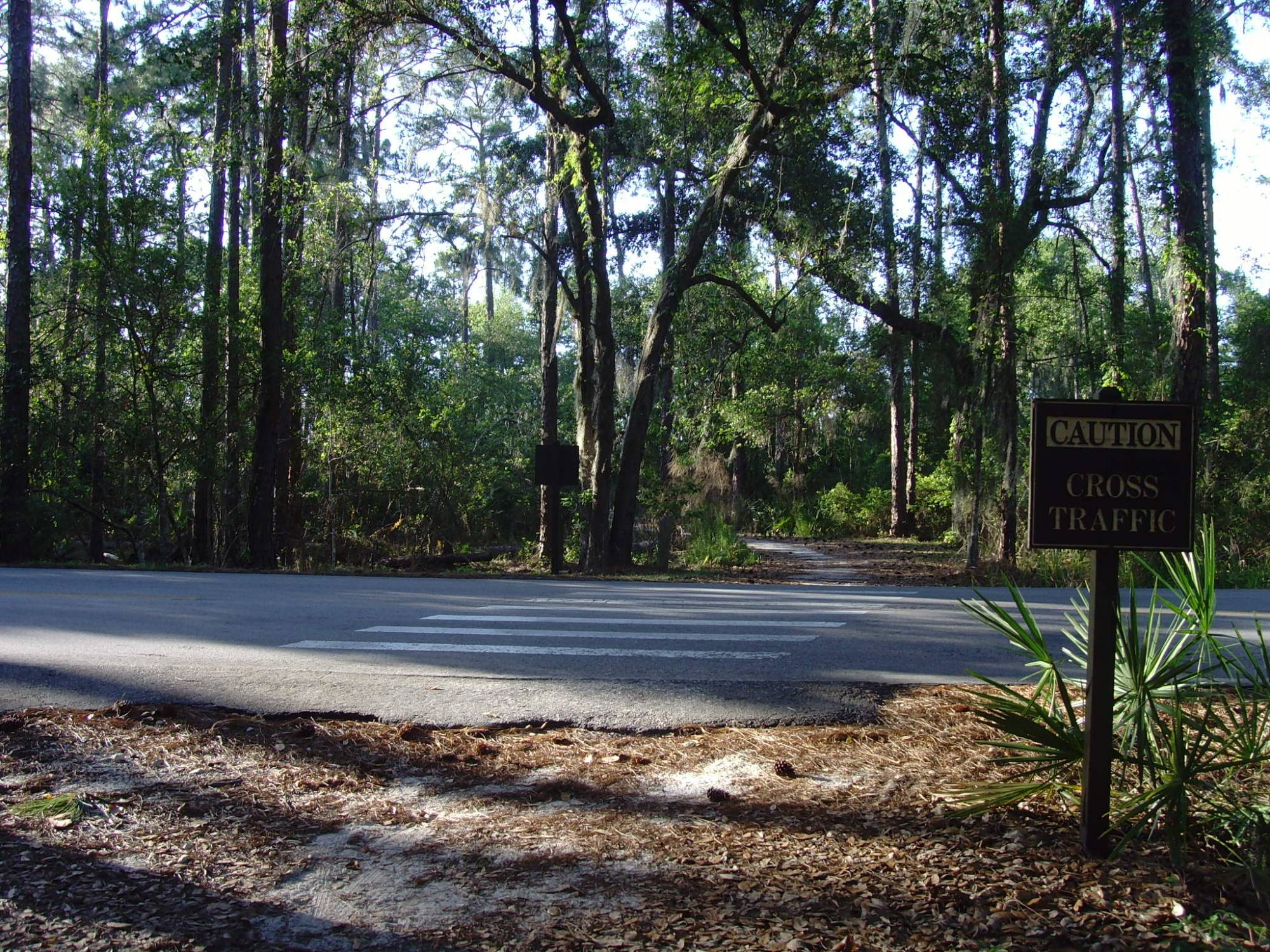 Fort Wilderness - Walking Trail to Lodge