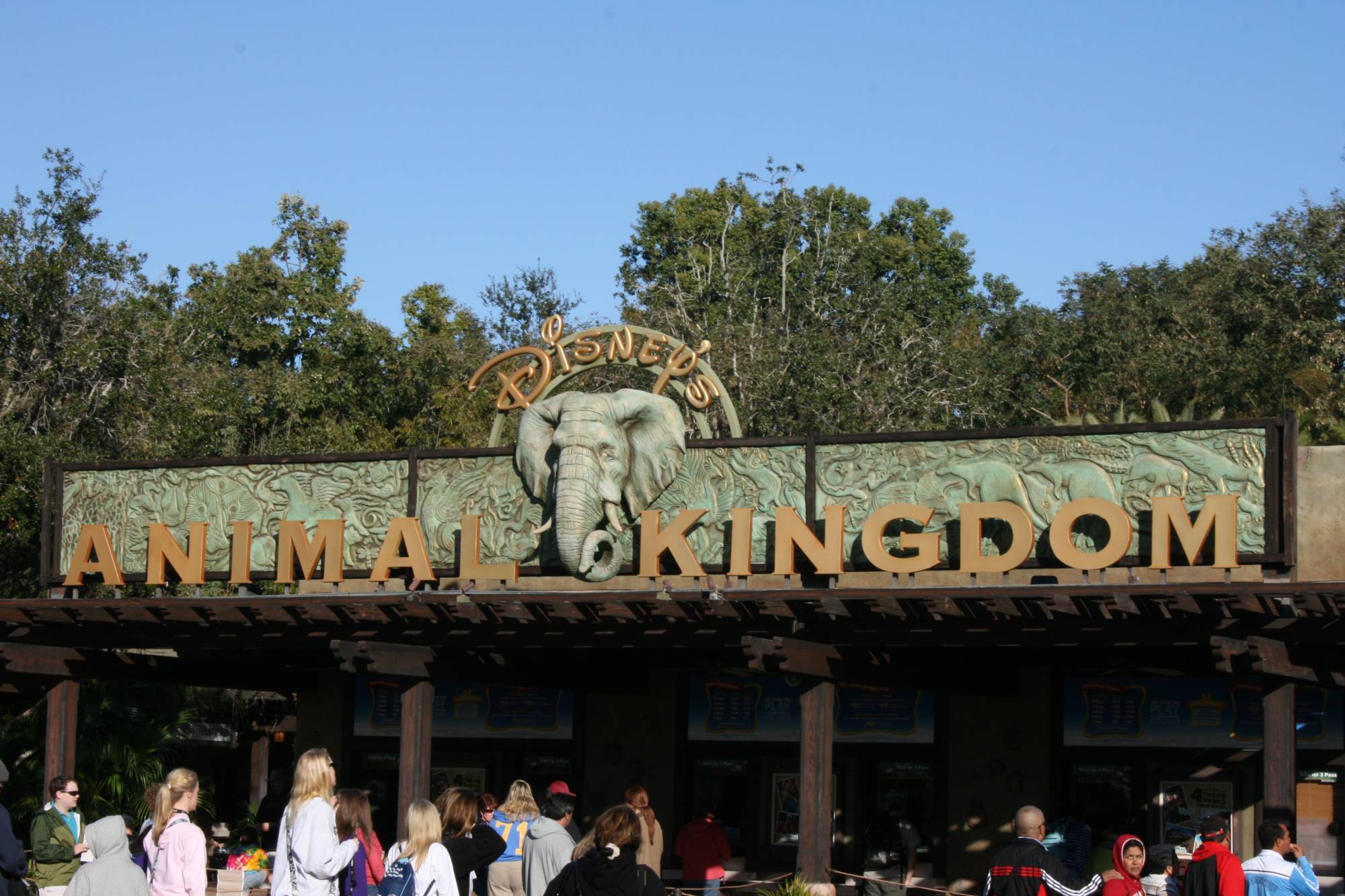 Animal Kingdom