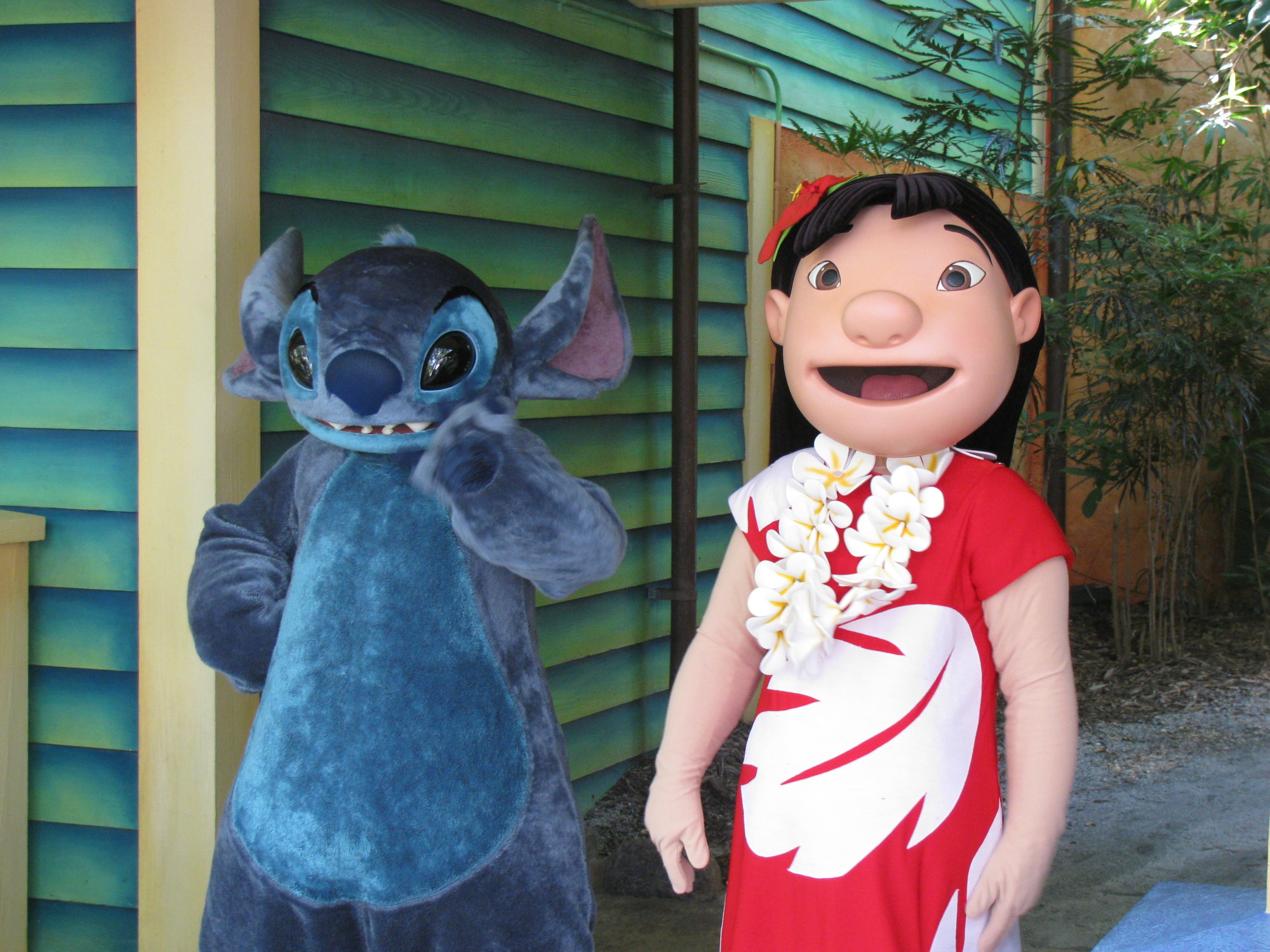 Animal Kingdom - Lilo &amp; Stitch