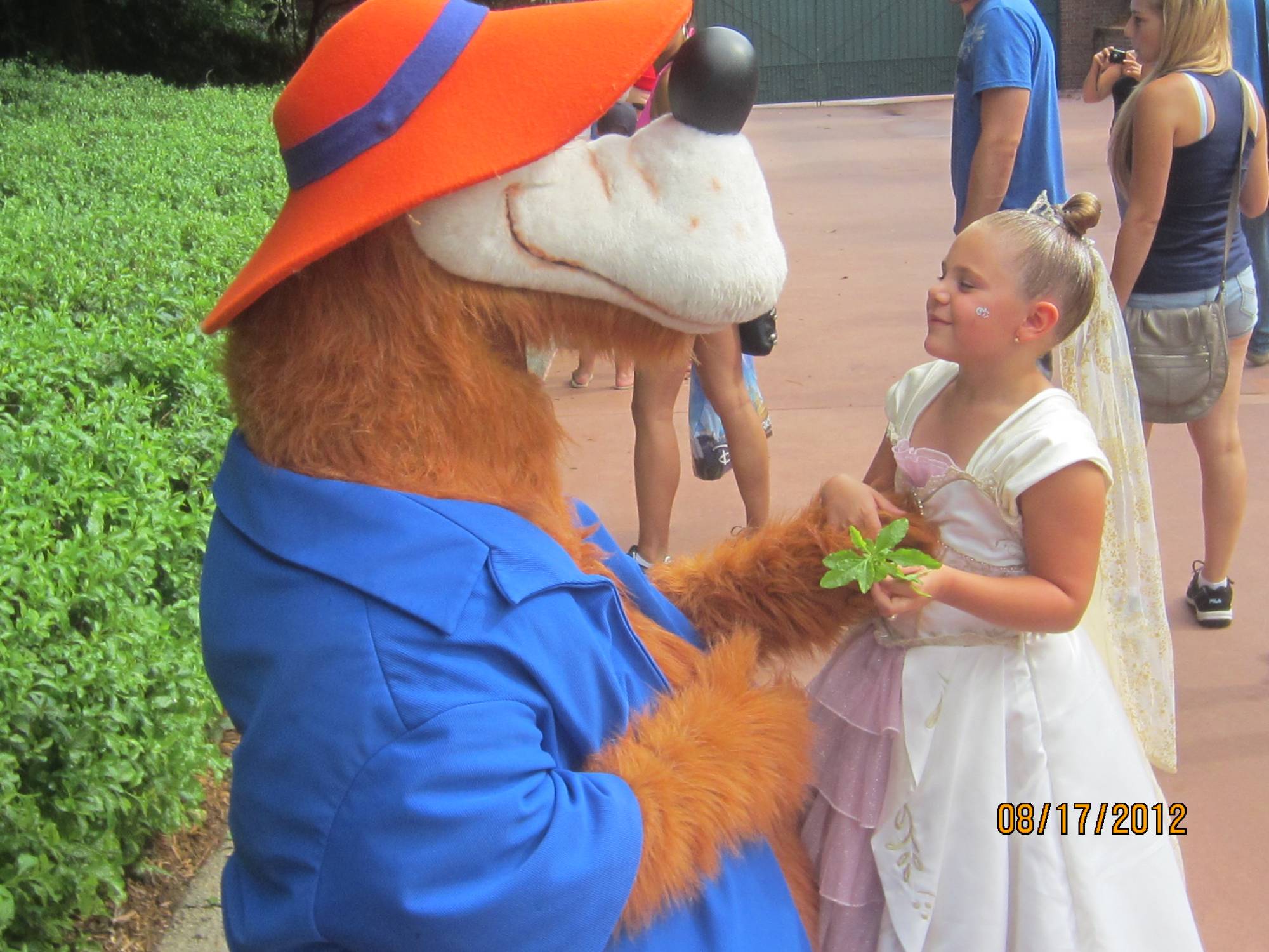 Brer Bear gives my princess a flower