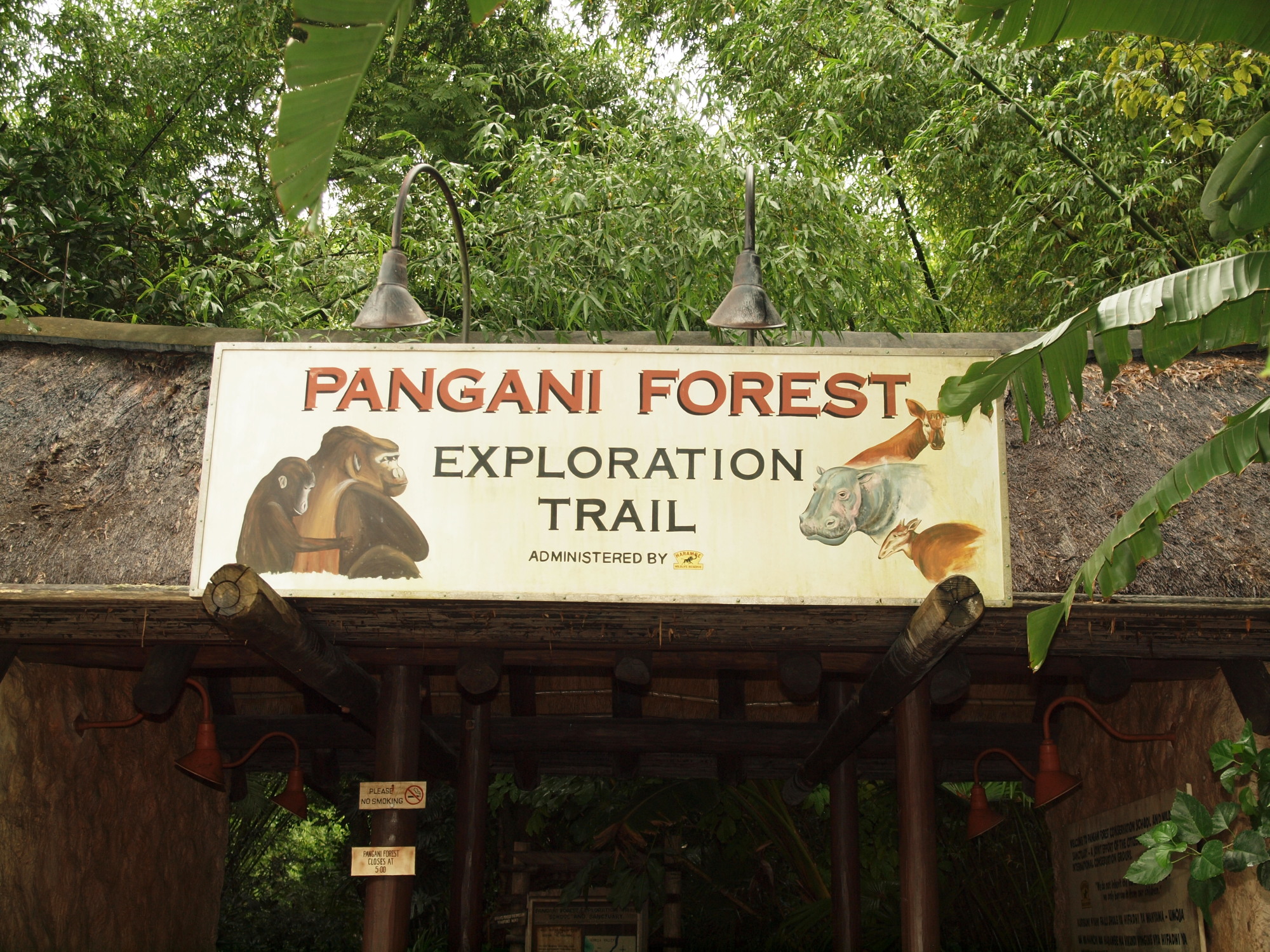 Animal Kingdom - Africa - Pangani Forest