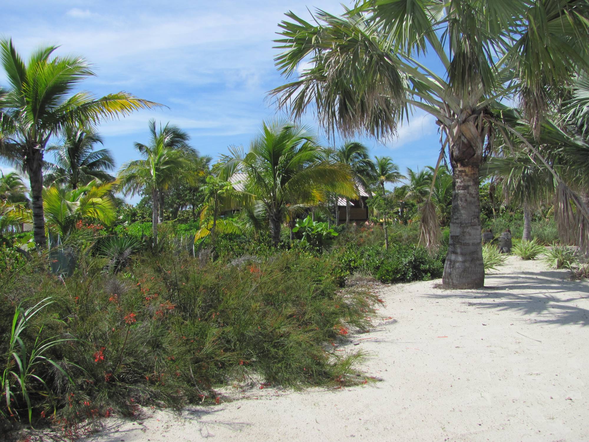 Castaway Cay