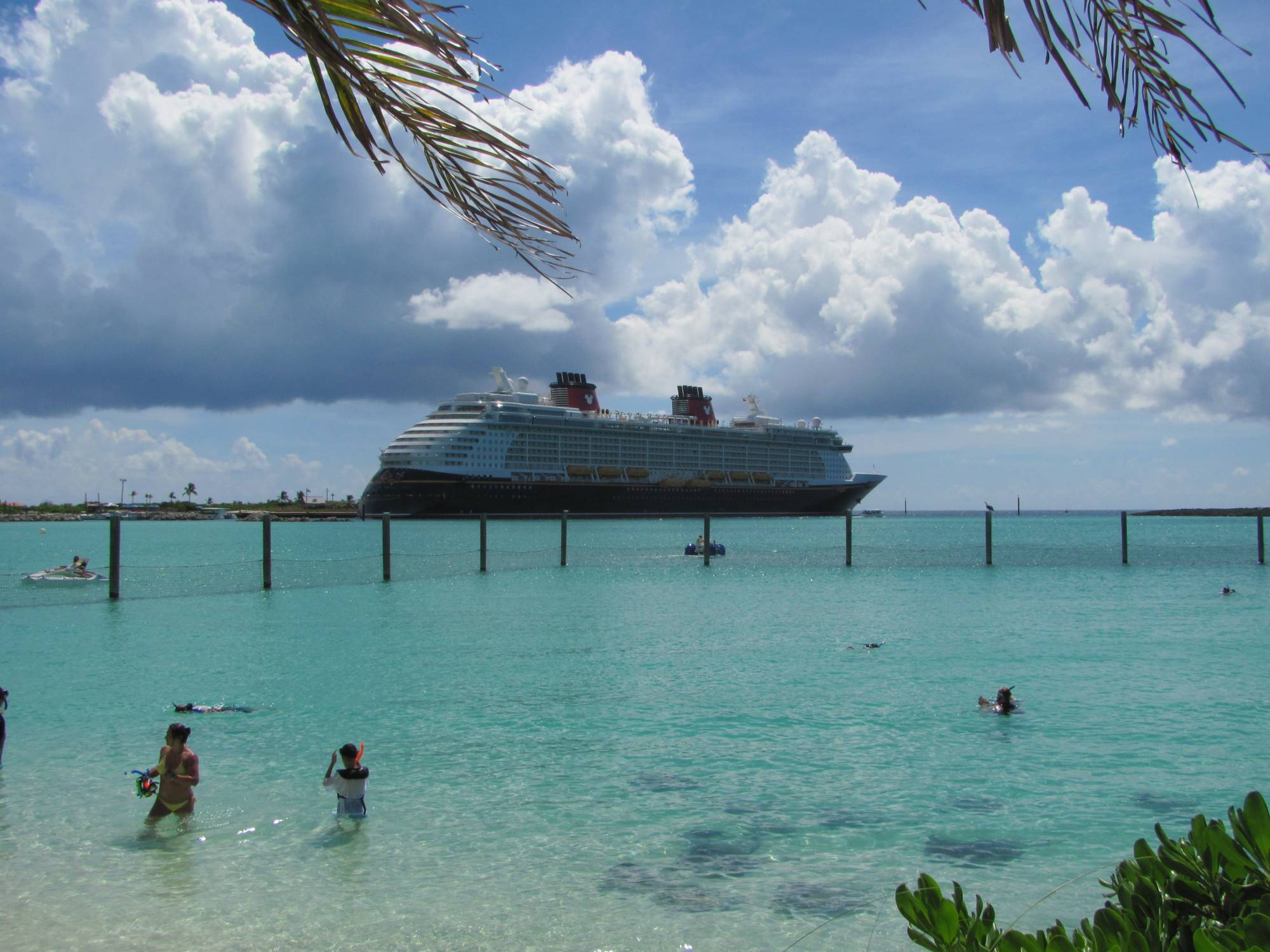 Rays Swarm near the Disney Dream