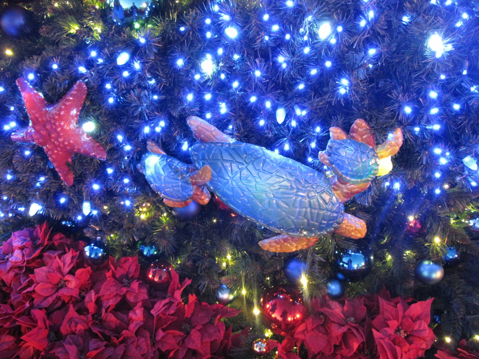 SeaWorld San Diego Christmas Celebration is a Joy to the World