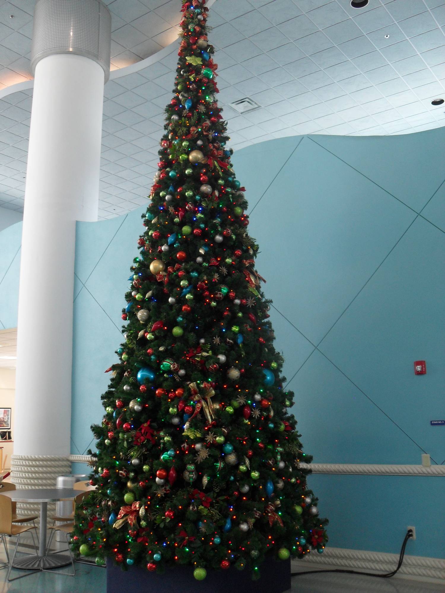 Port Canaveral Christmas Decorations