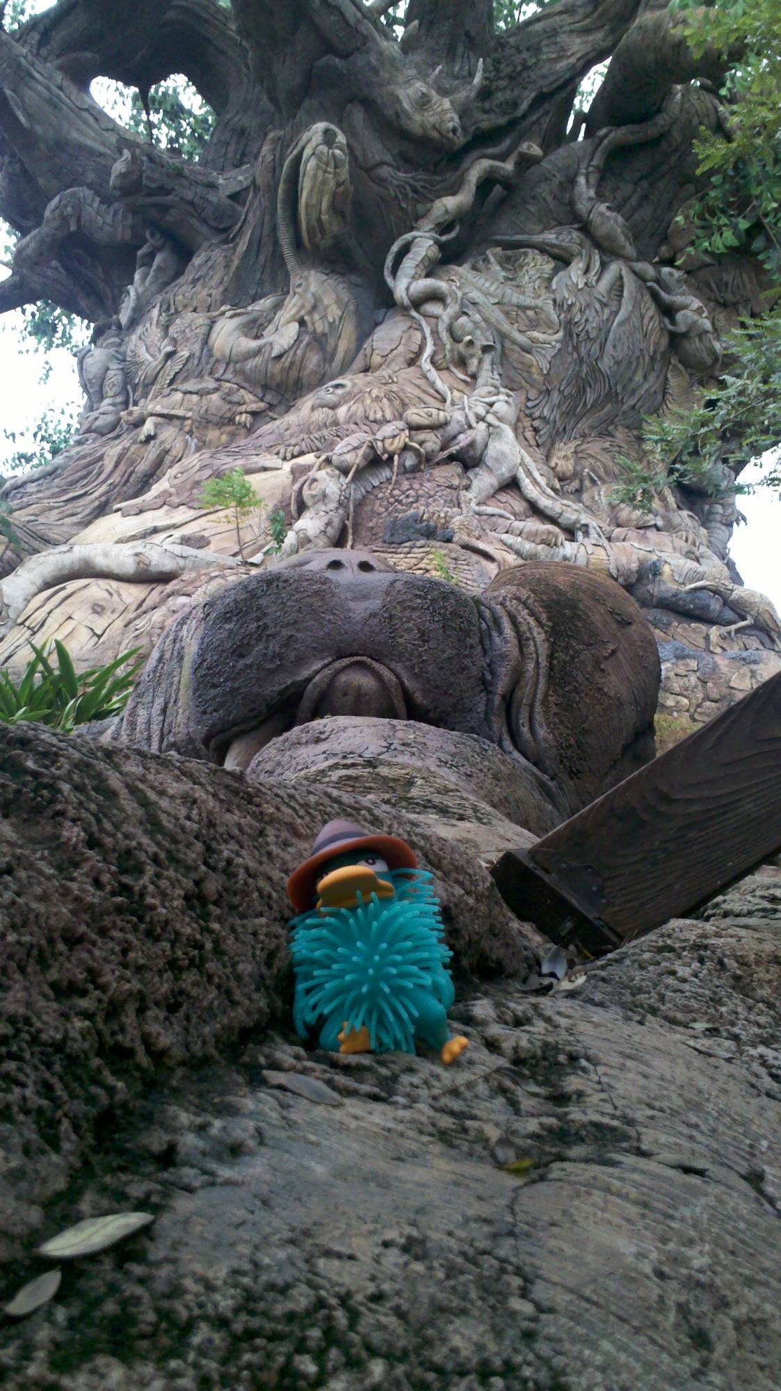 Agent P by the Tree of Life